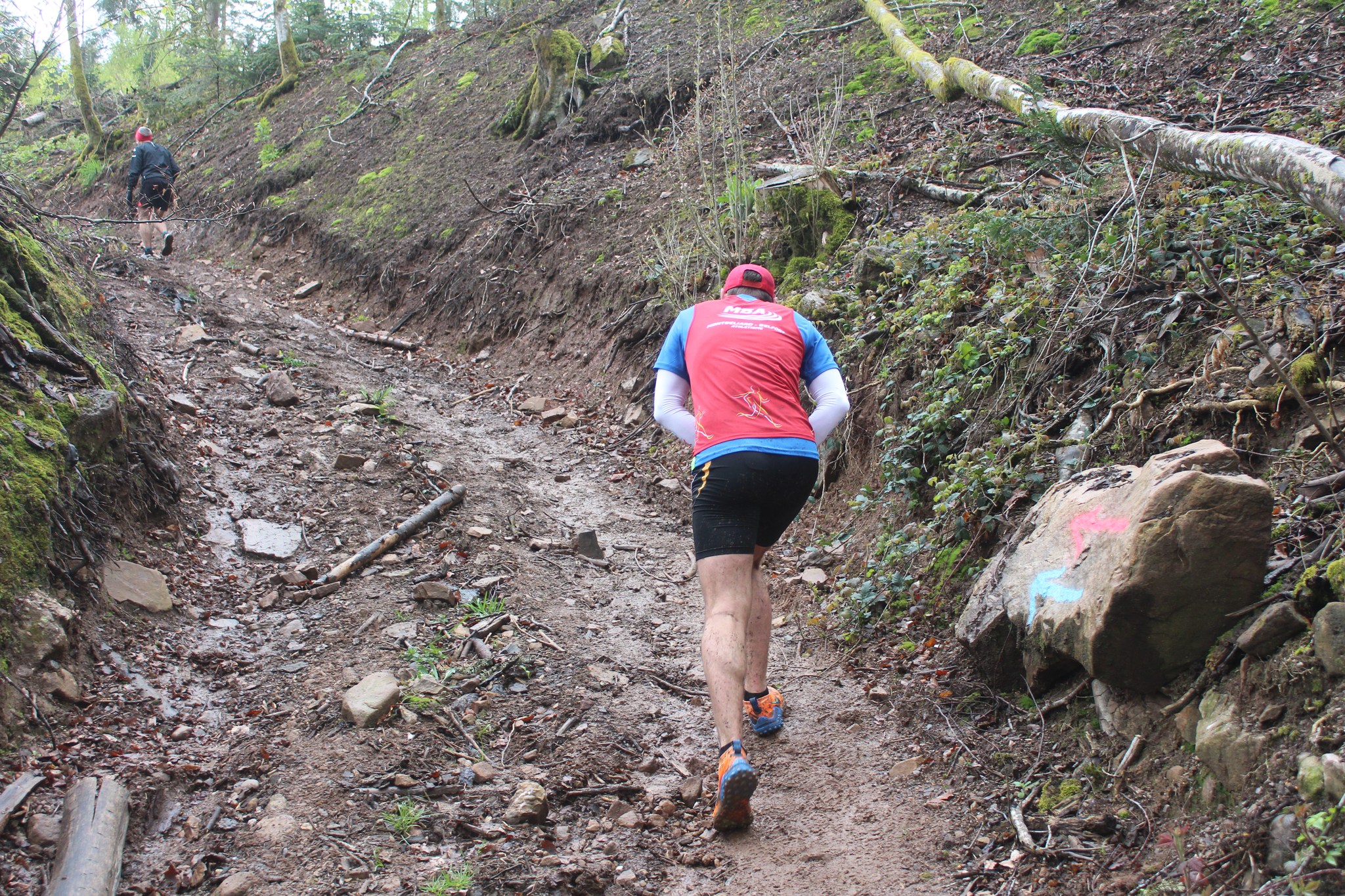 Image du trail