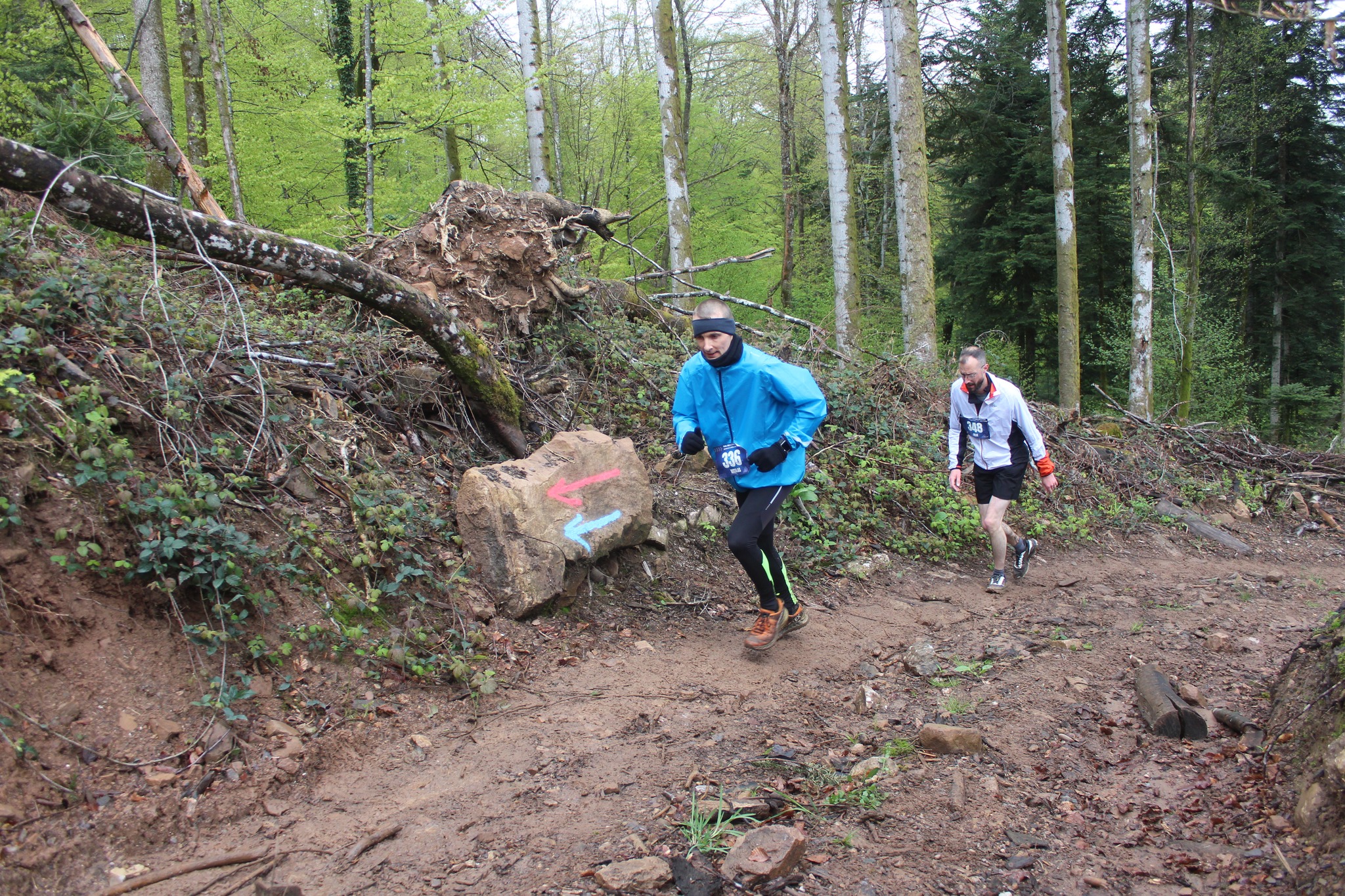 Image du trail