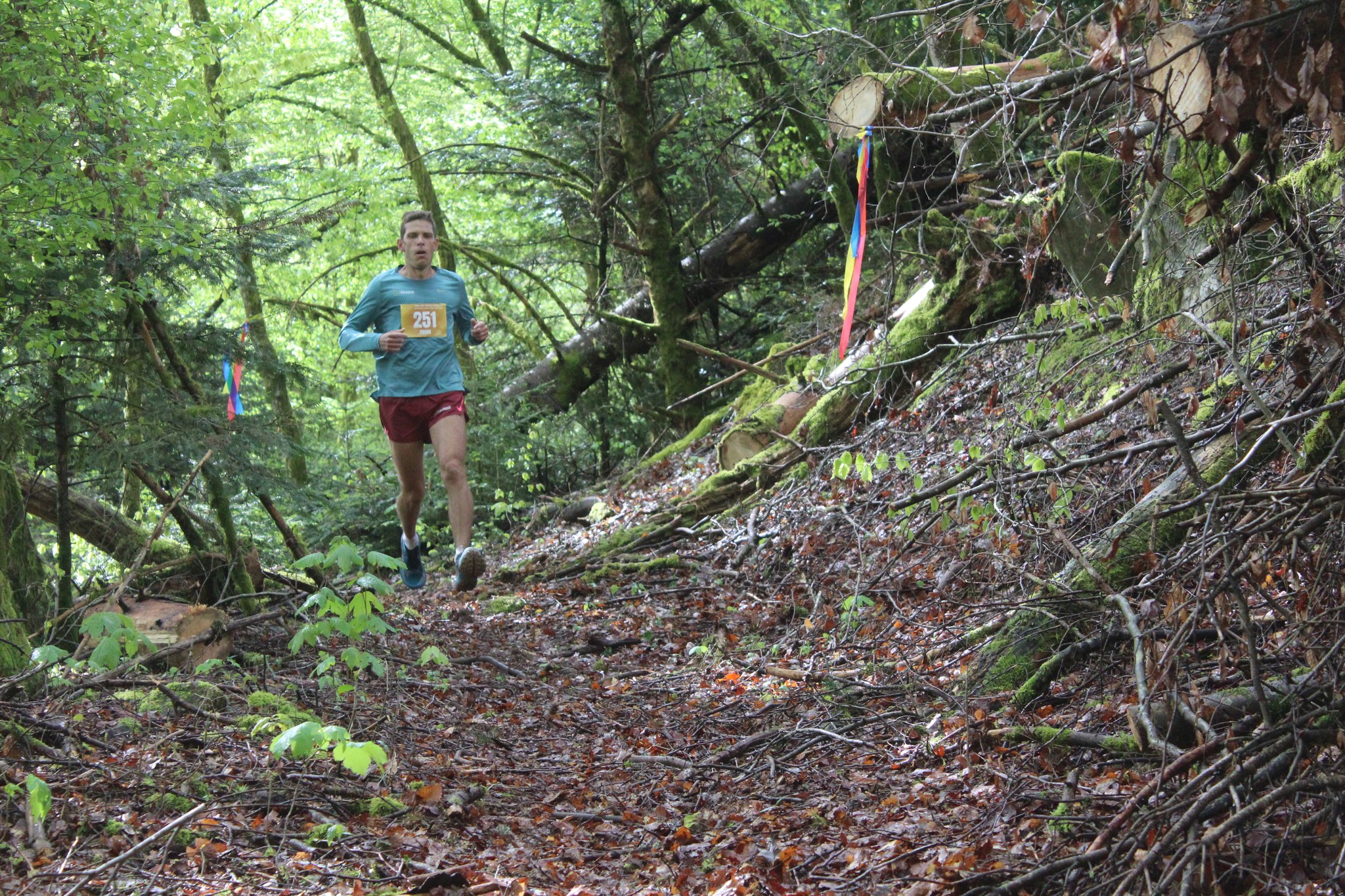 Image du trail