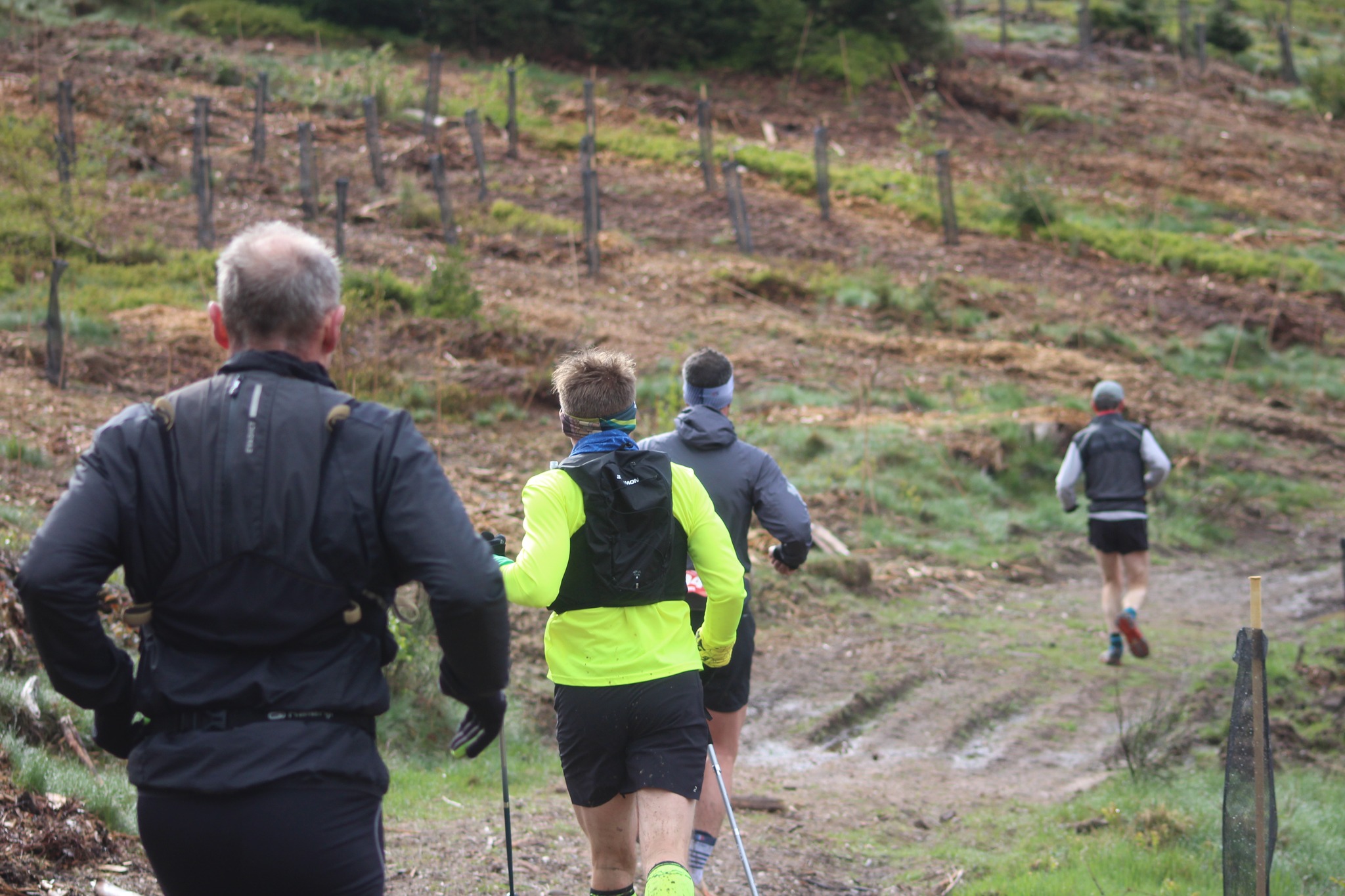 Image du trail