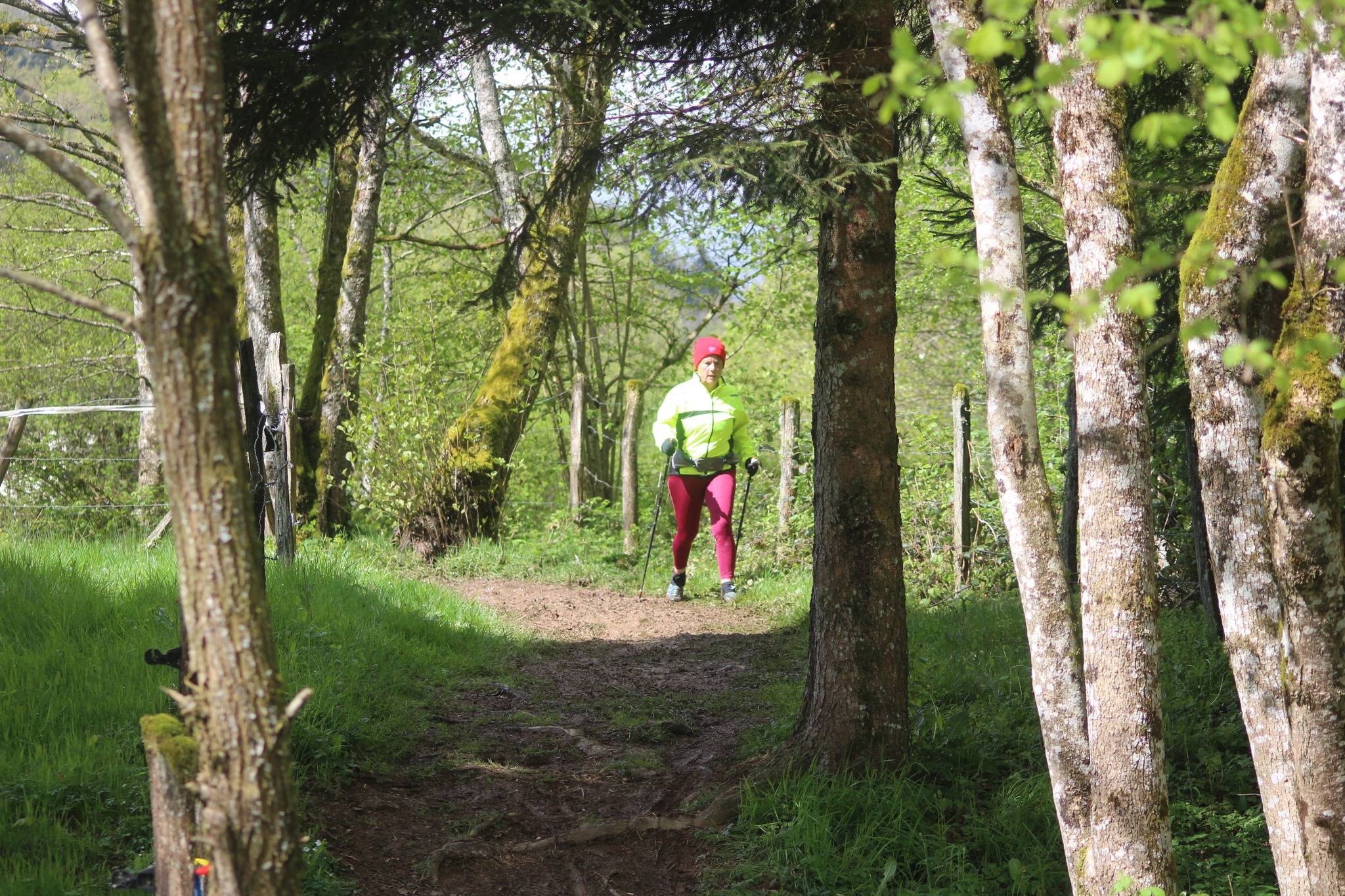 Image du trail