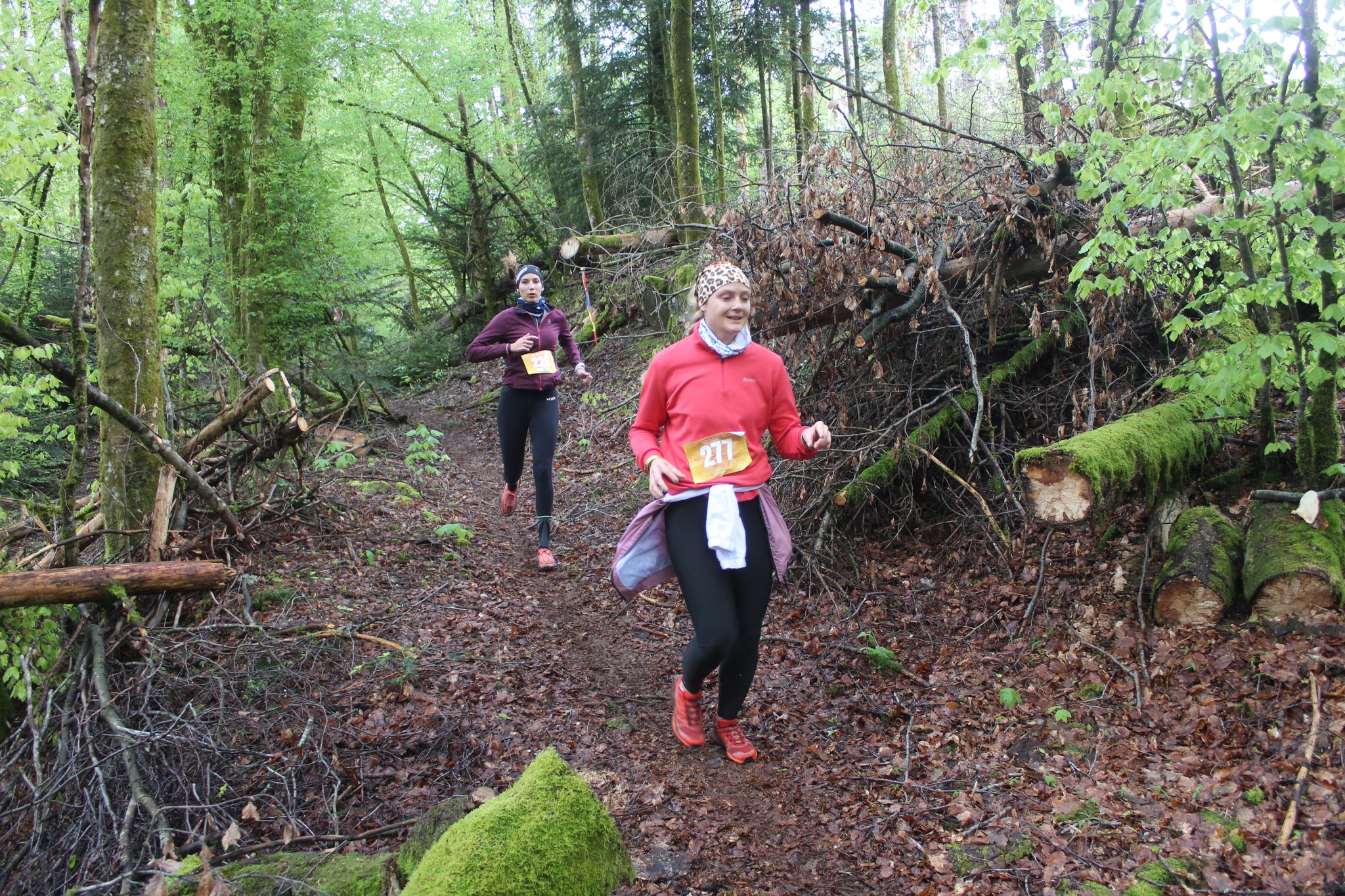 Image du trail