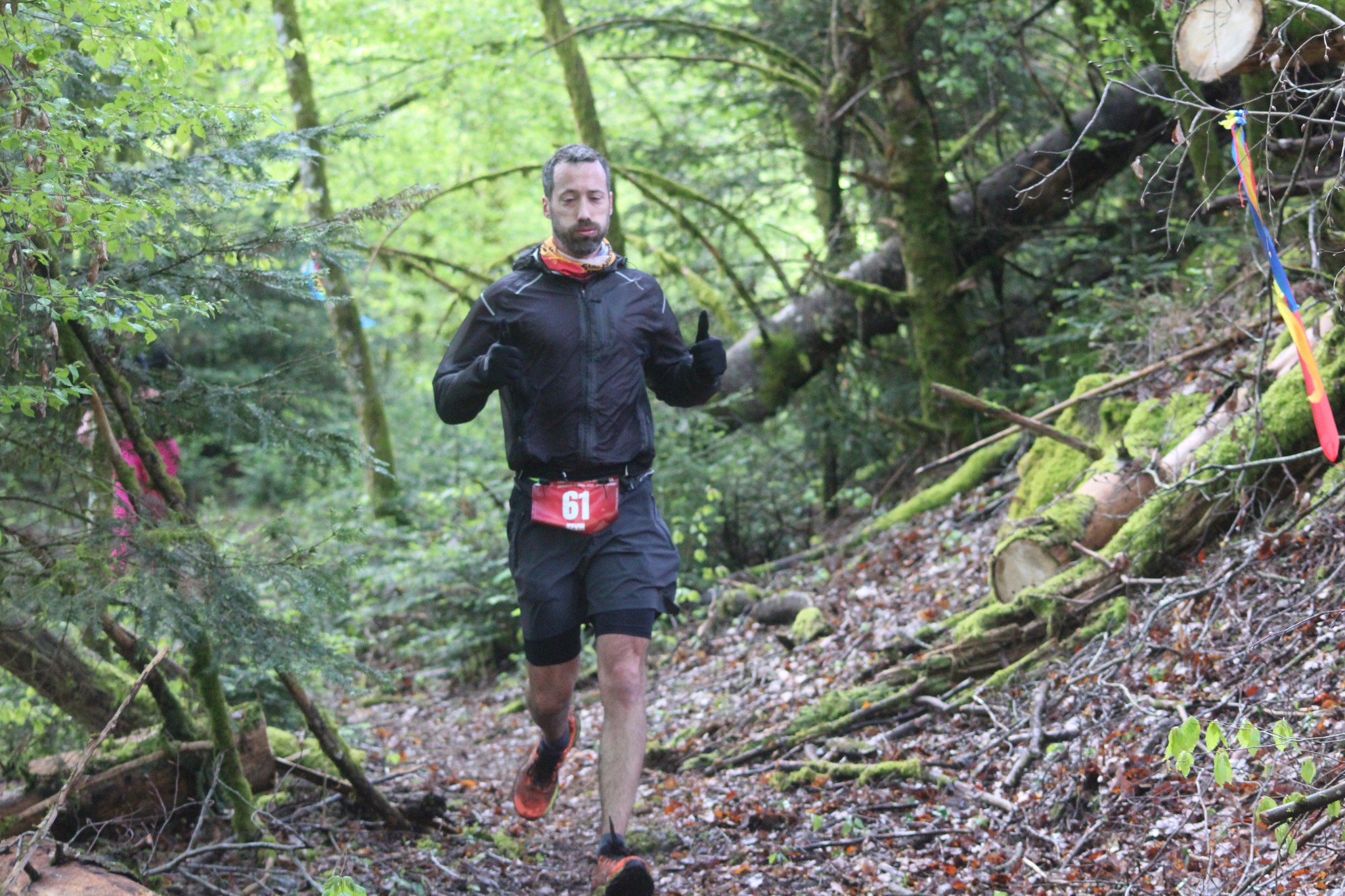 Image du trail
