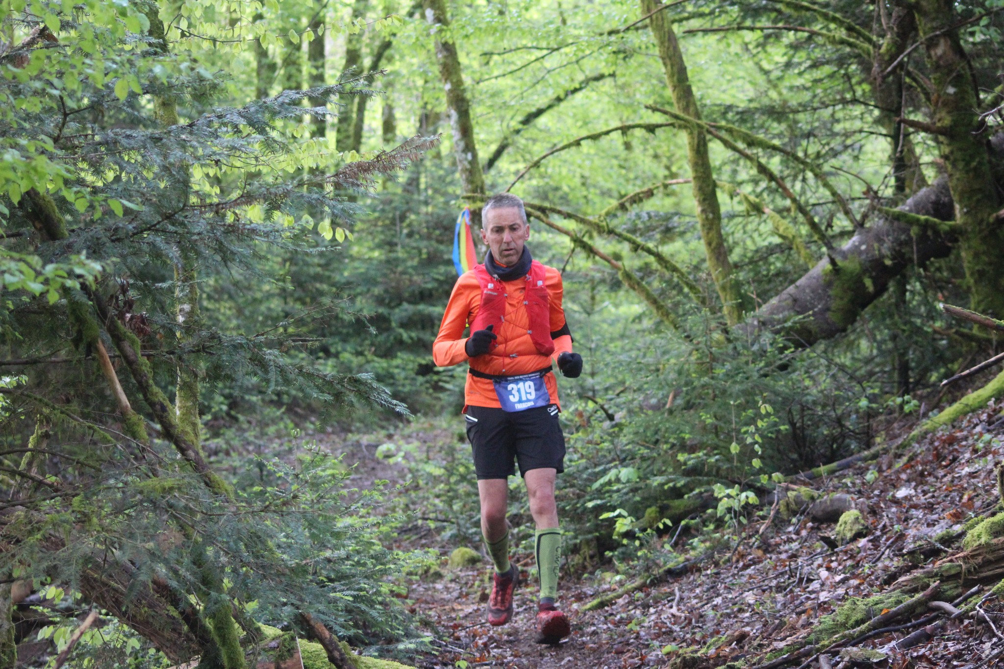 Image du trail