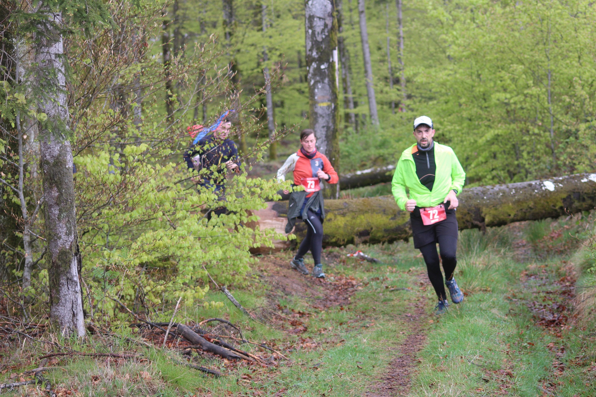 Image du trail