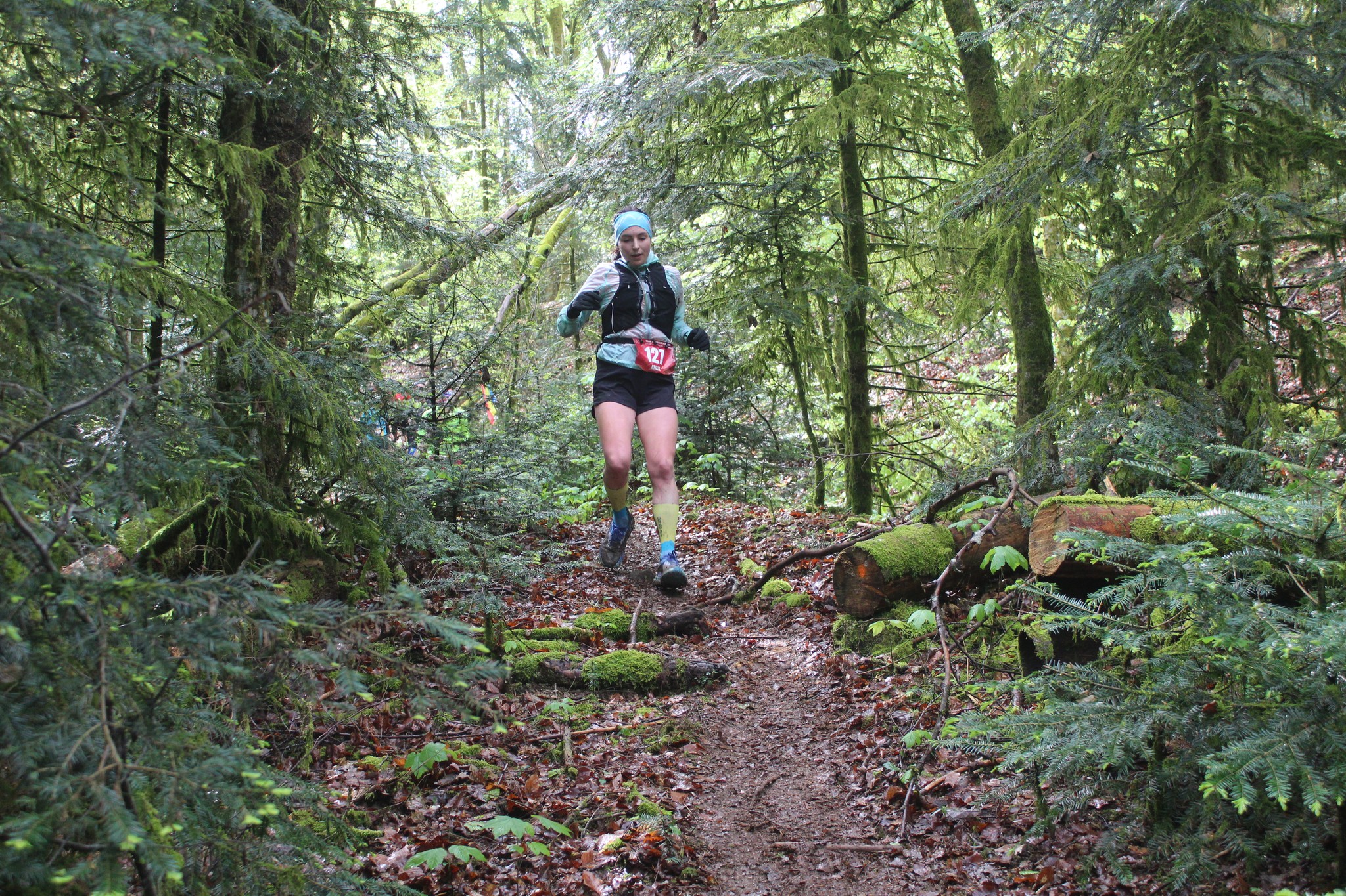 Image du trail