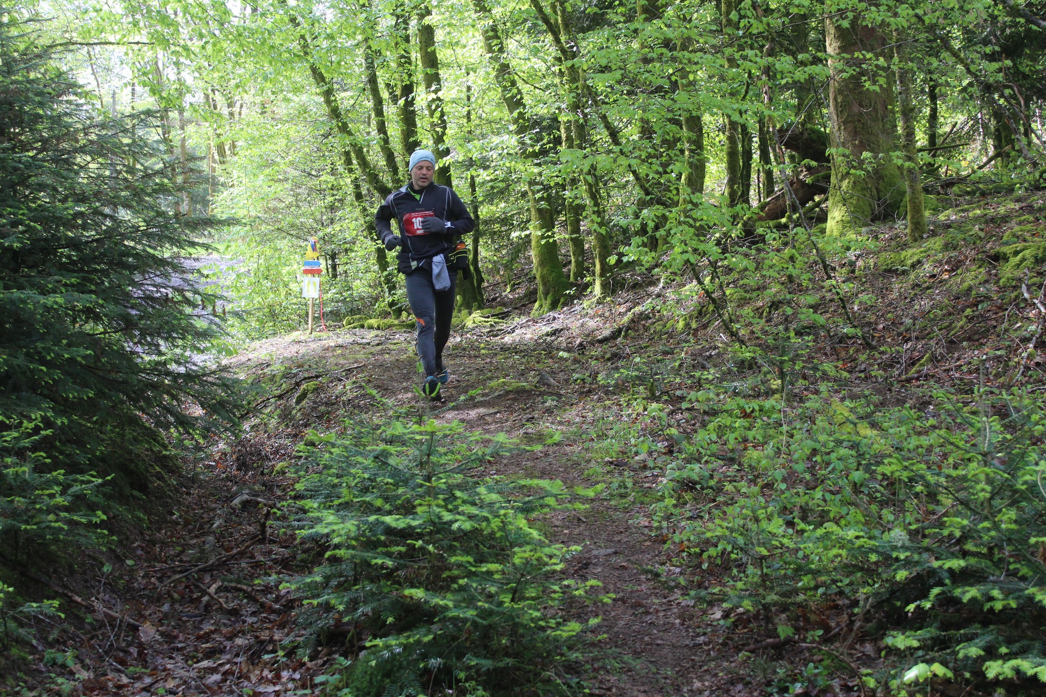 Image du trail