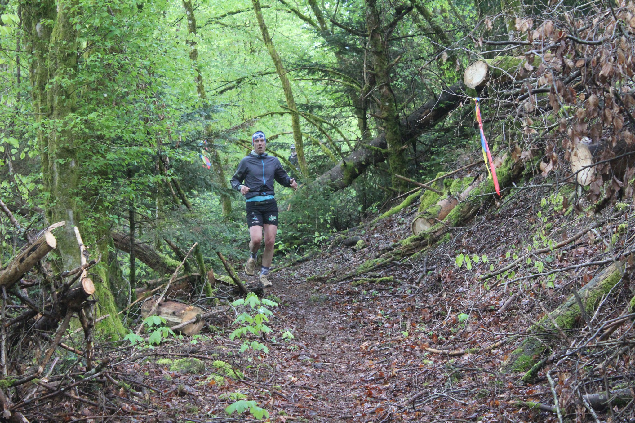 Image du trail