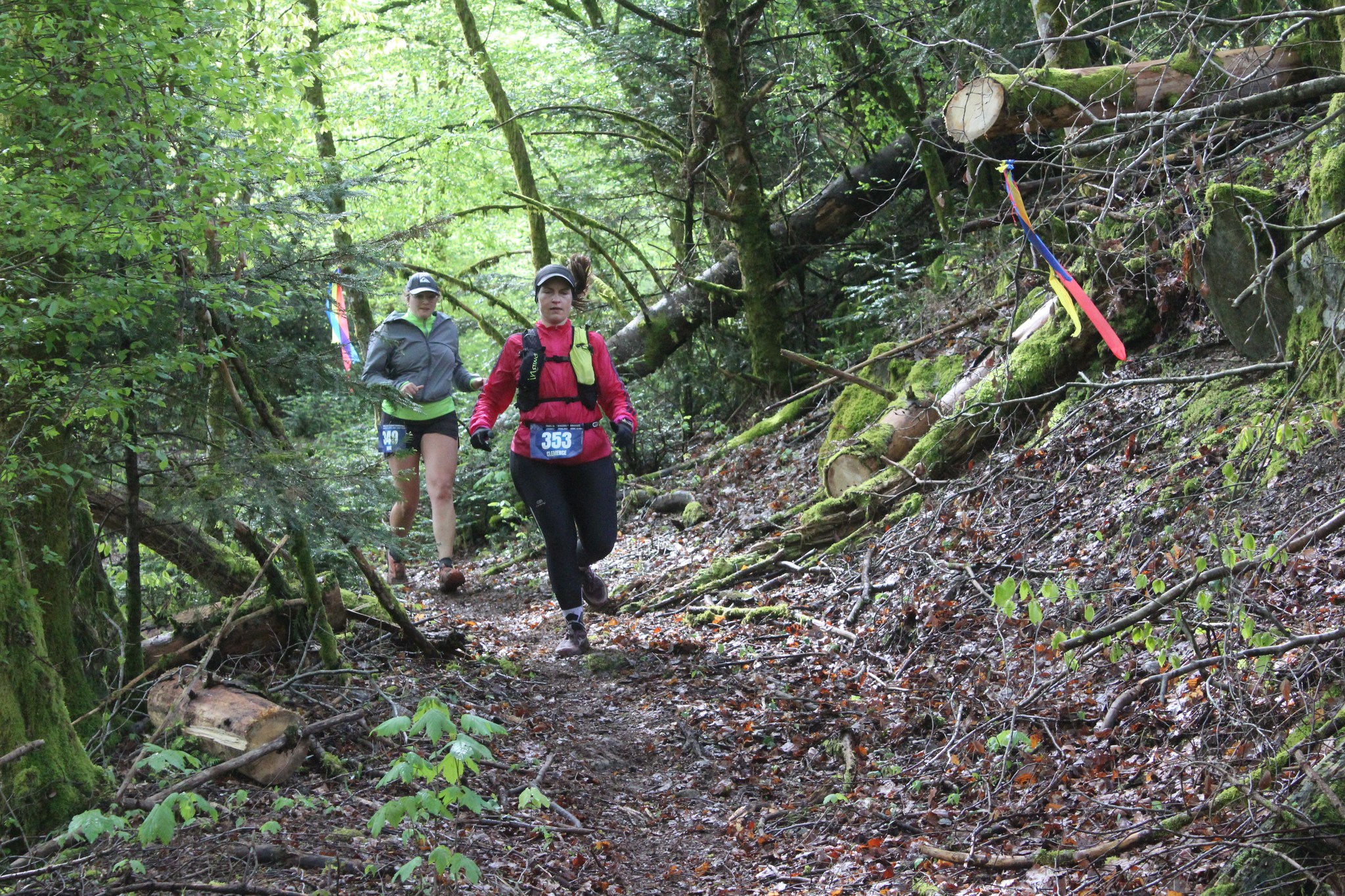 Image du trail