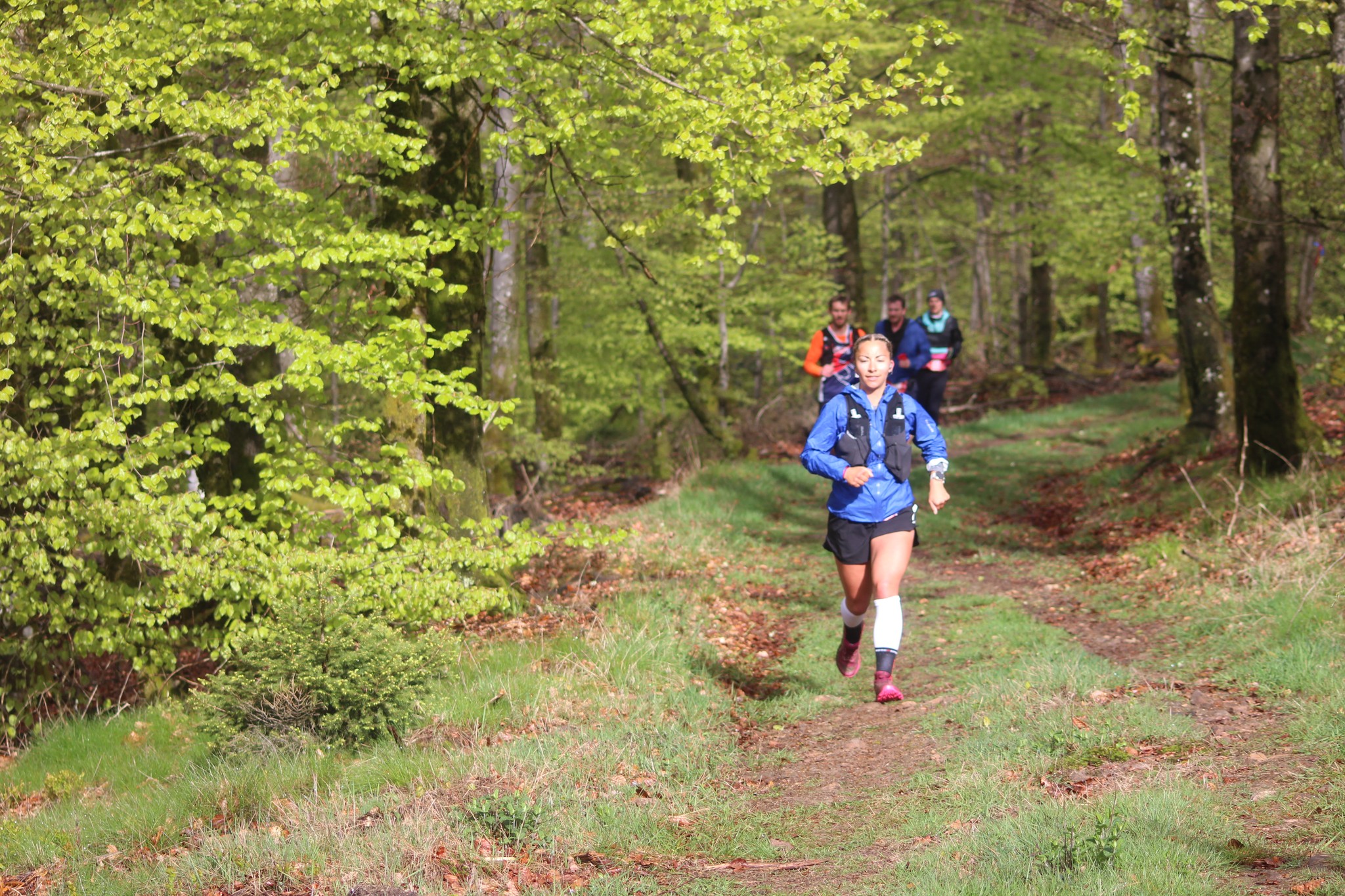 Image du trail