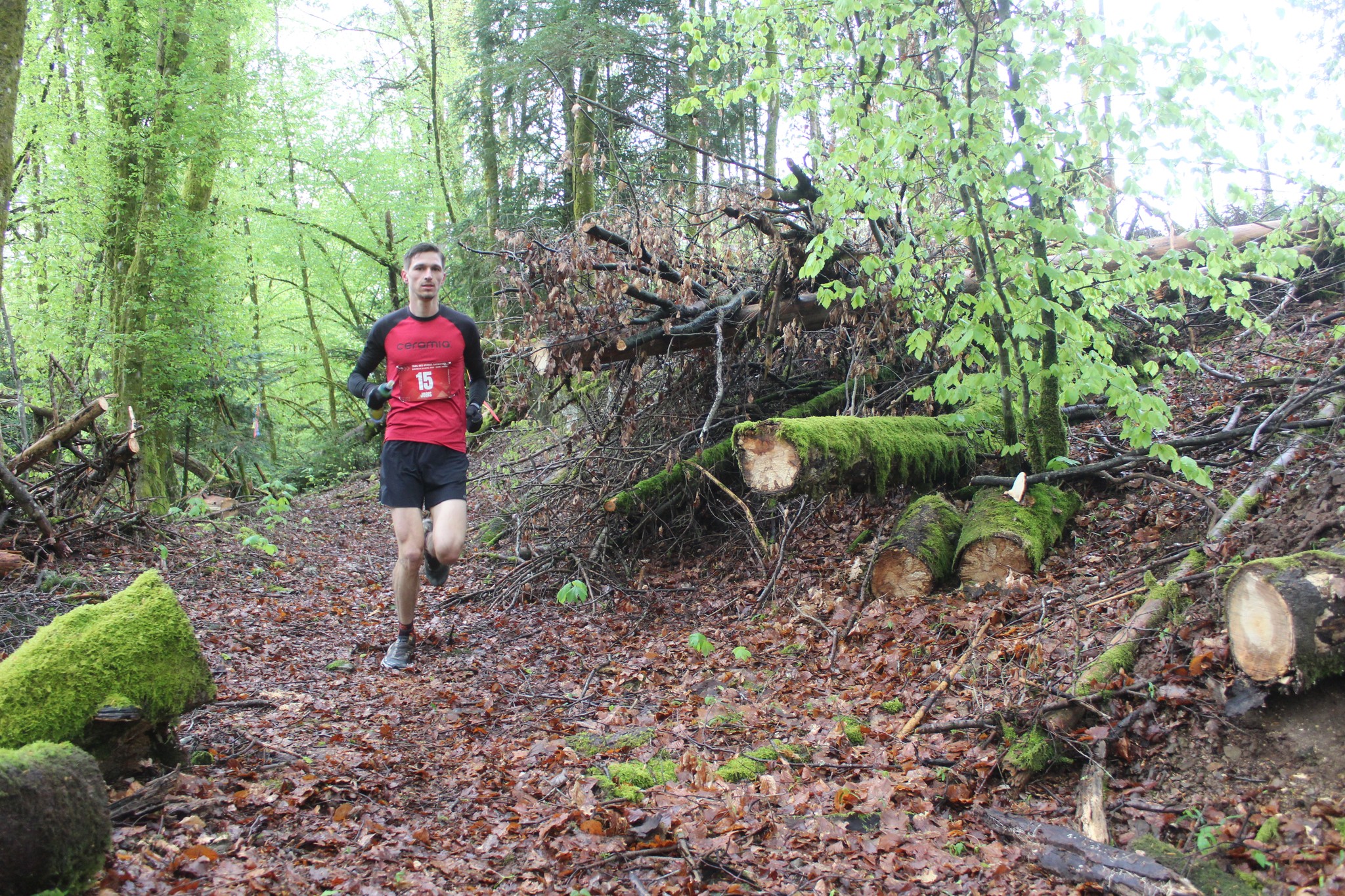 Image du trail