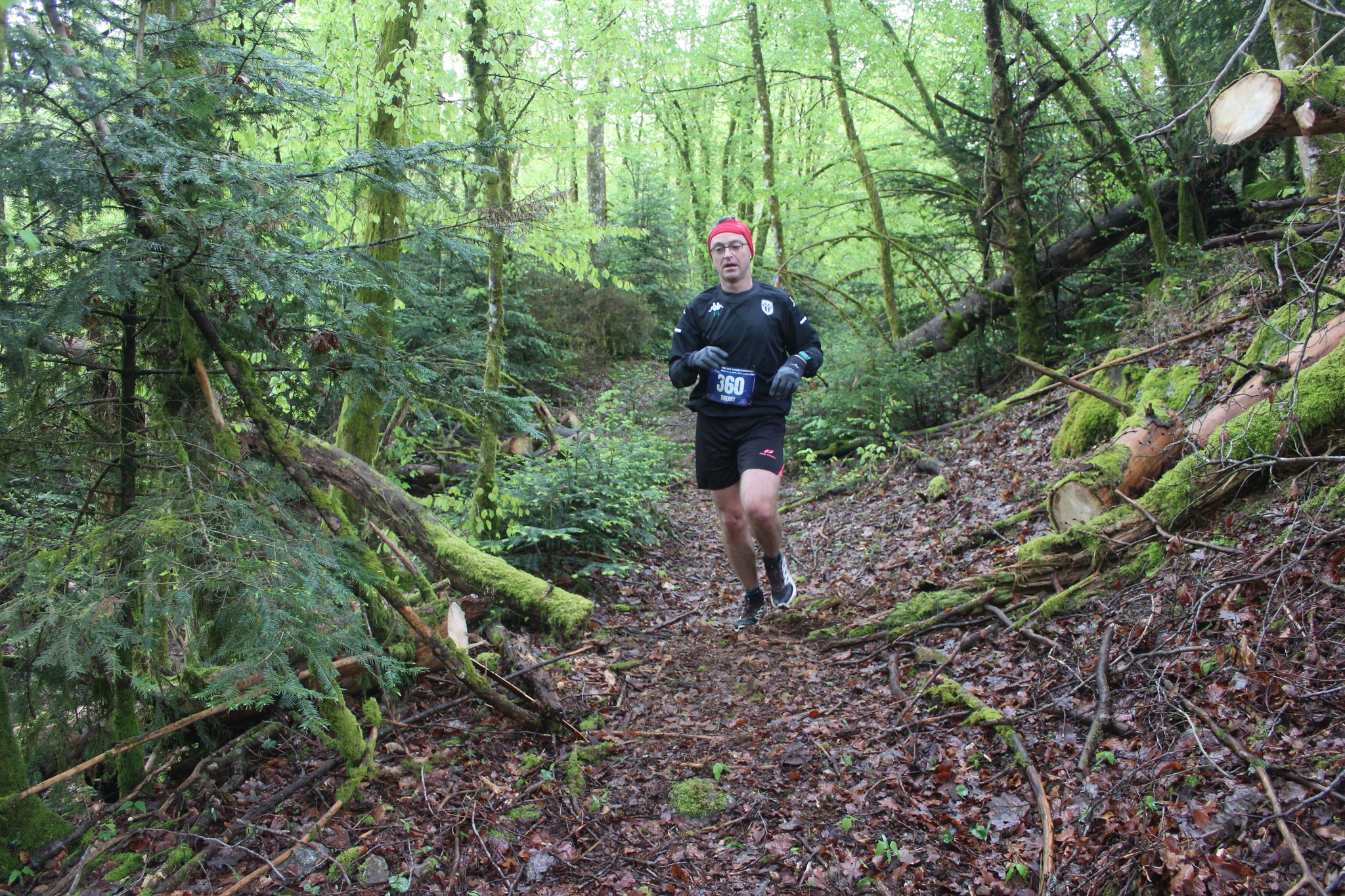 Image du trail