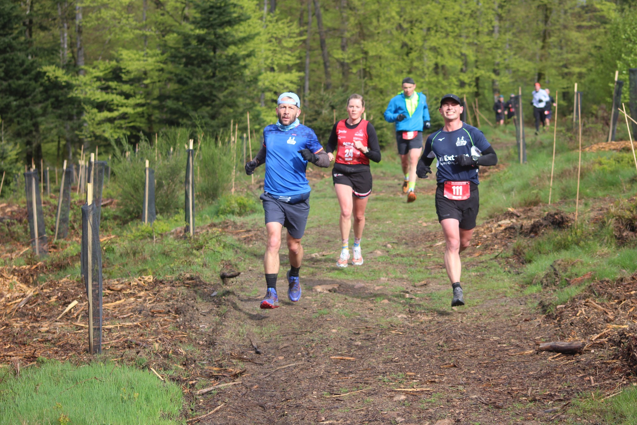 Image du trail