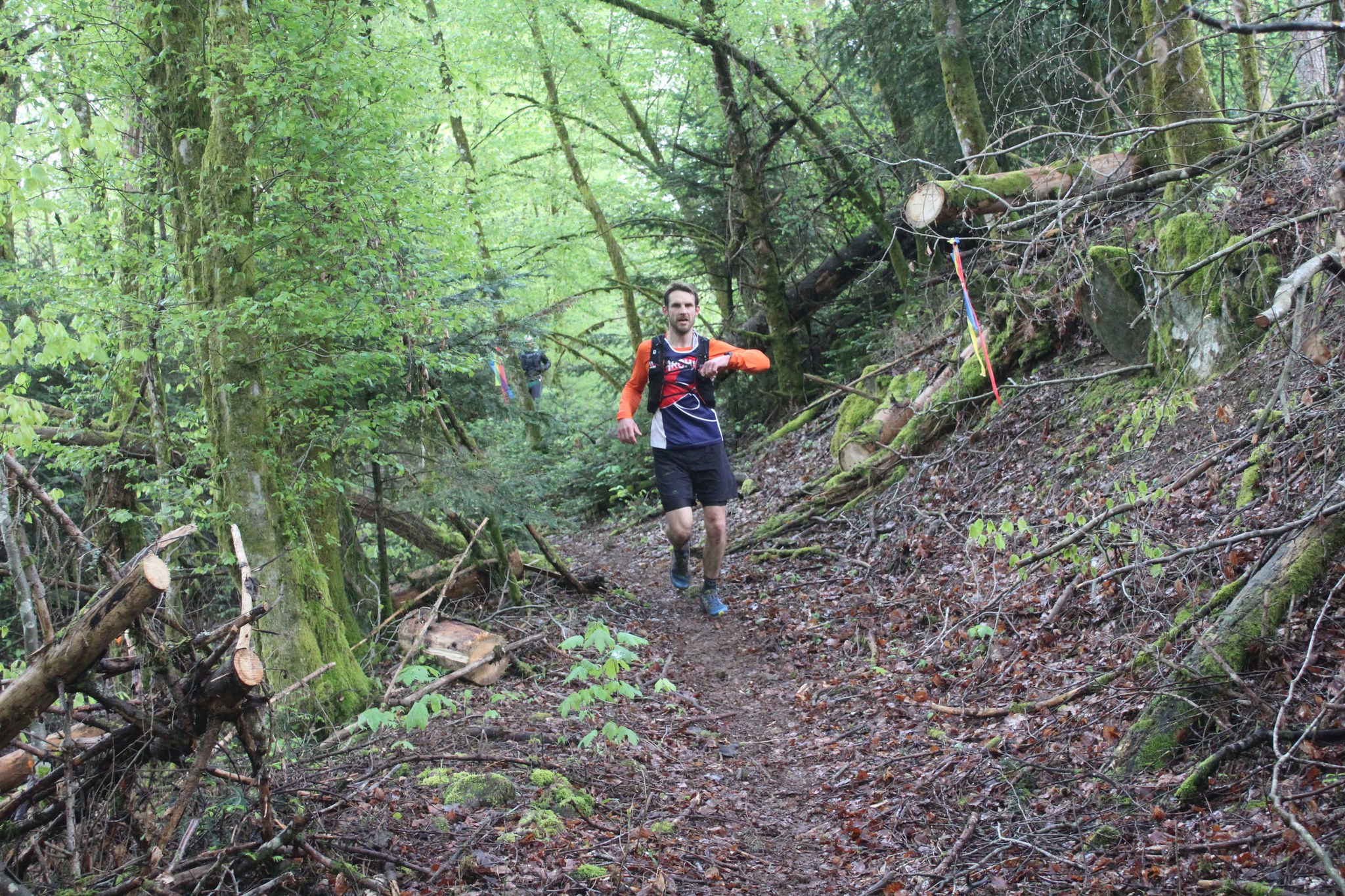 Image du trail