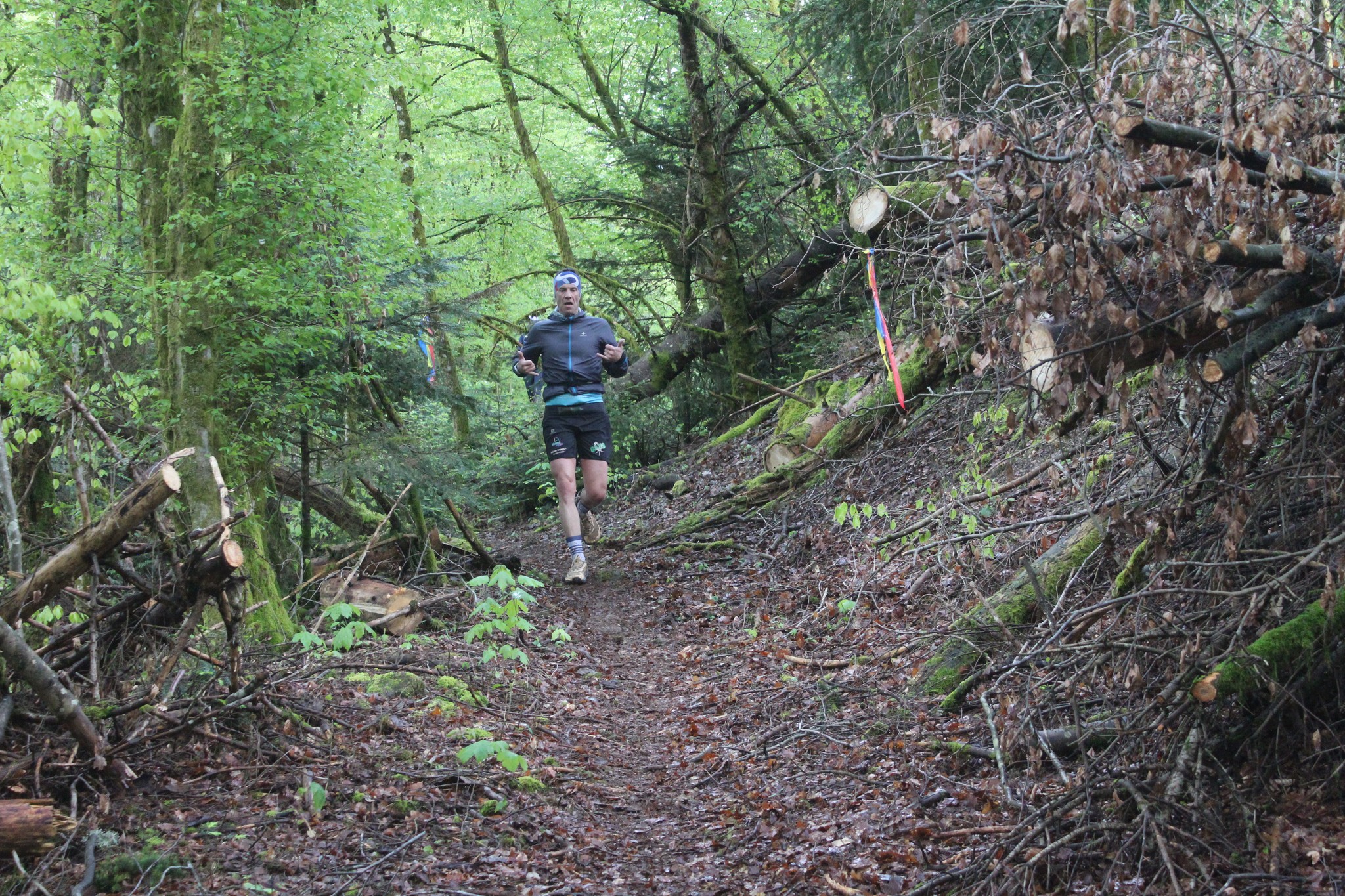 Image du trail