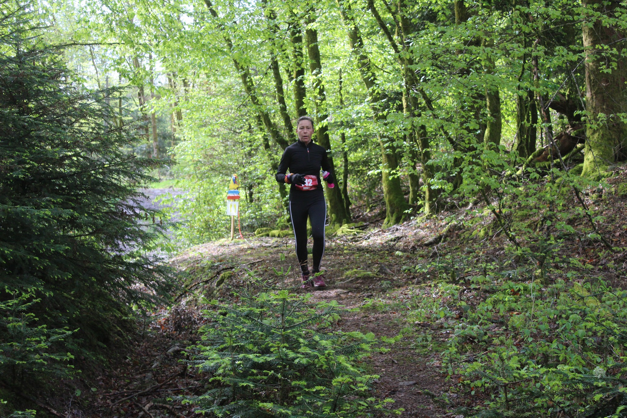 Image du trail