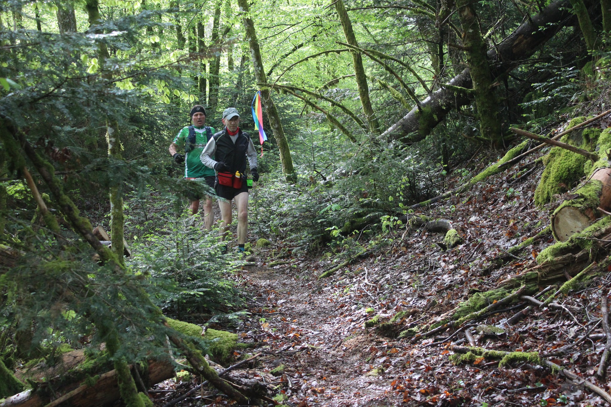 Image du trail