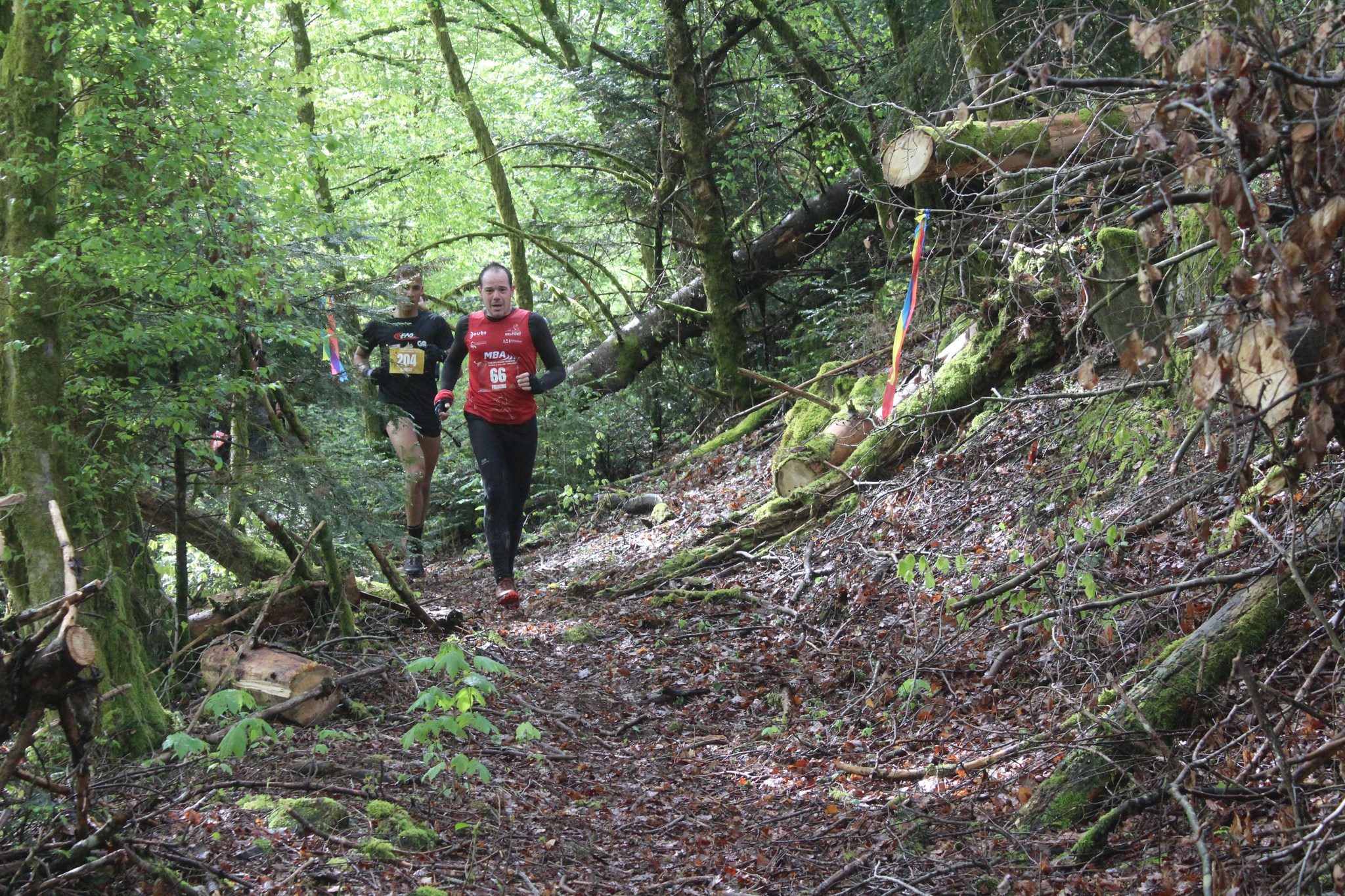 Image du trail