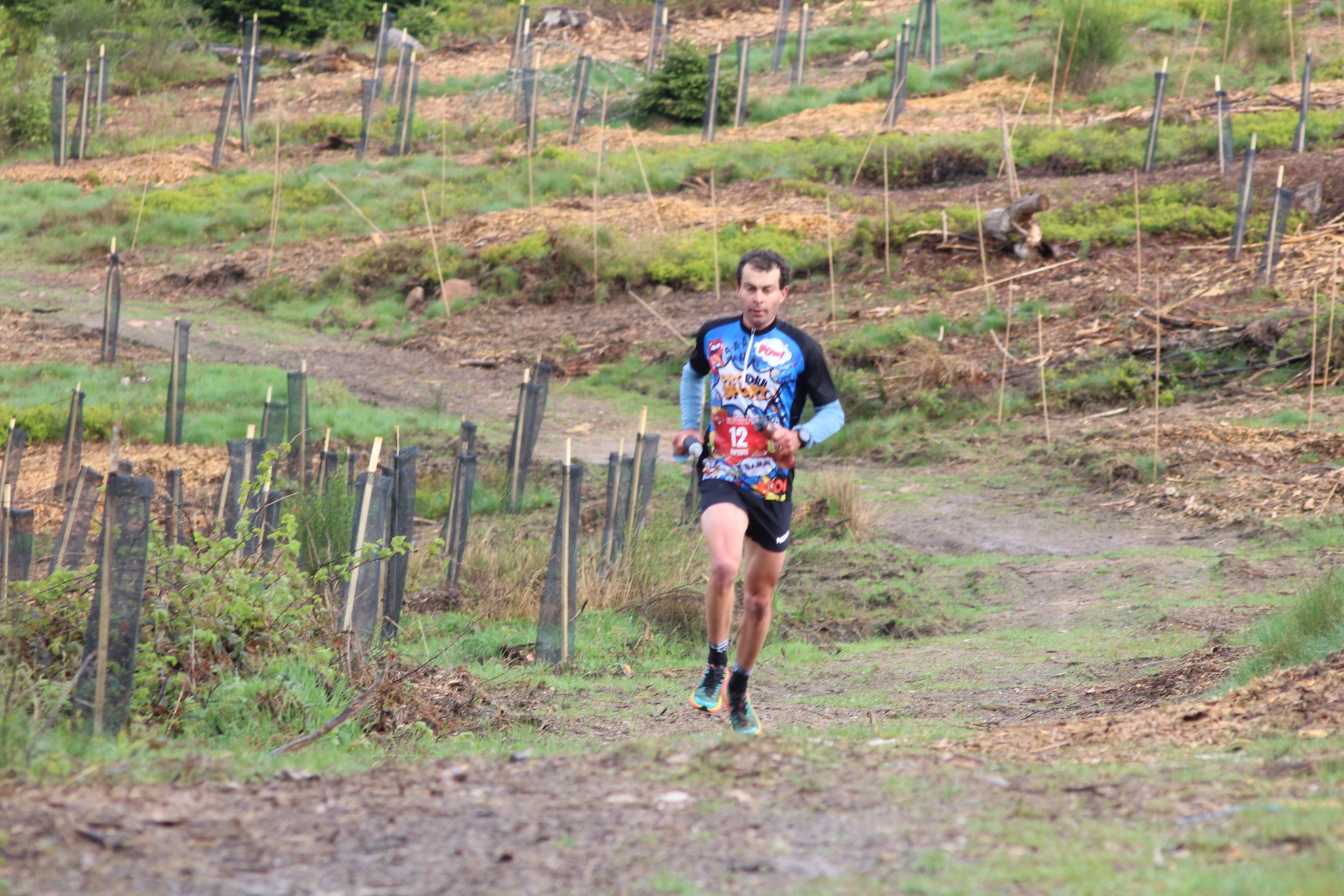 Image du trail