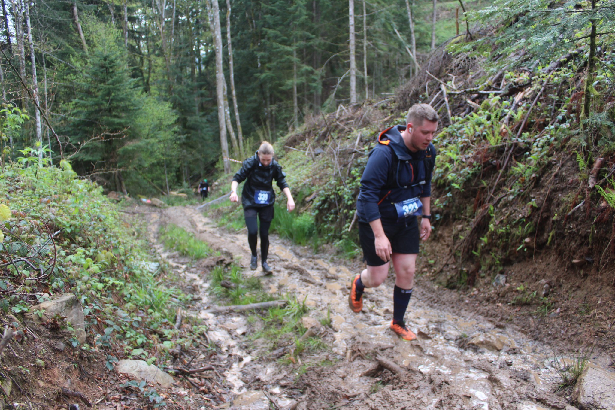 Image du trail