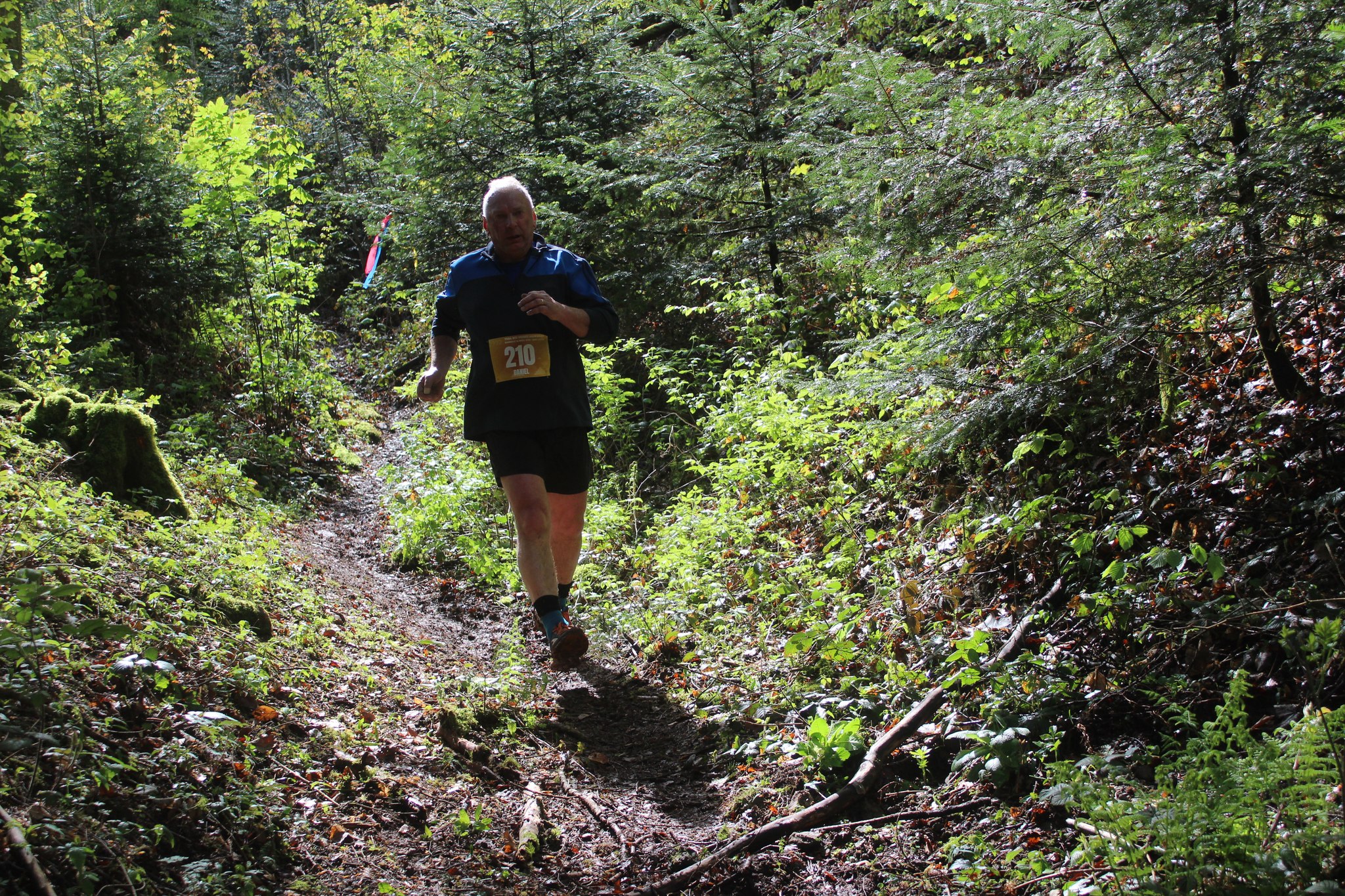 Image du trail