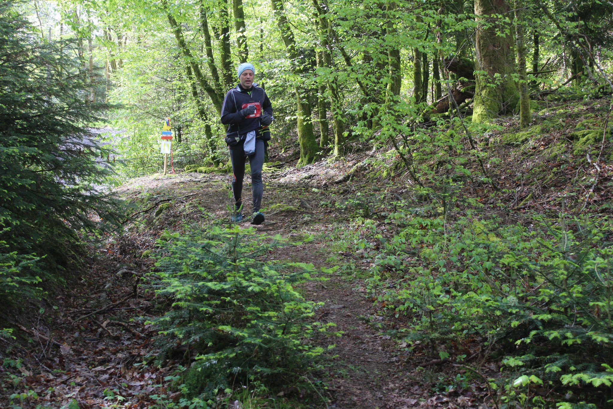 Image du trail