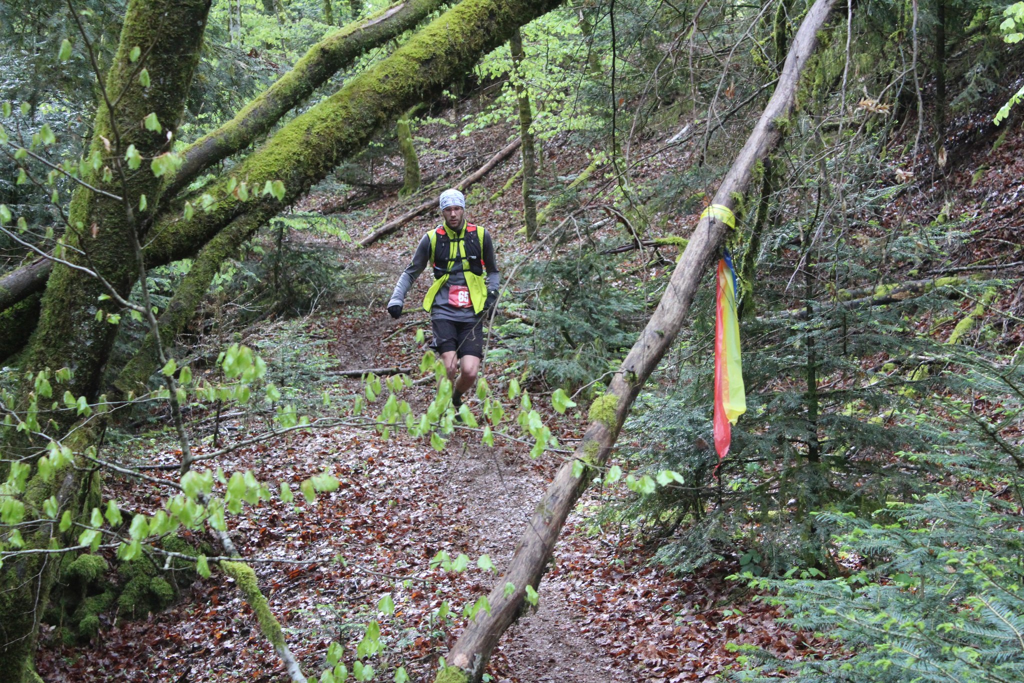 Image du trail