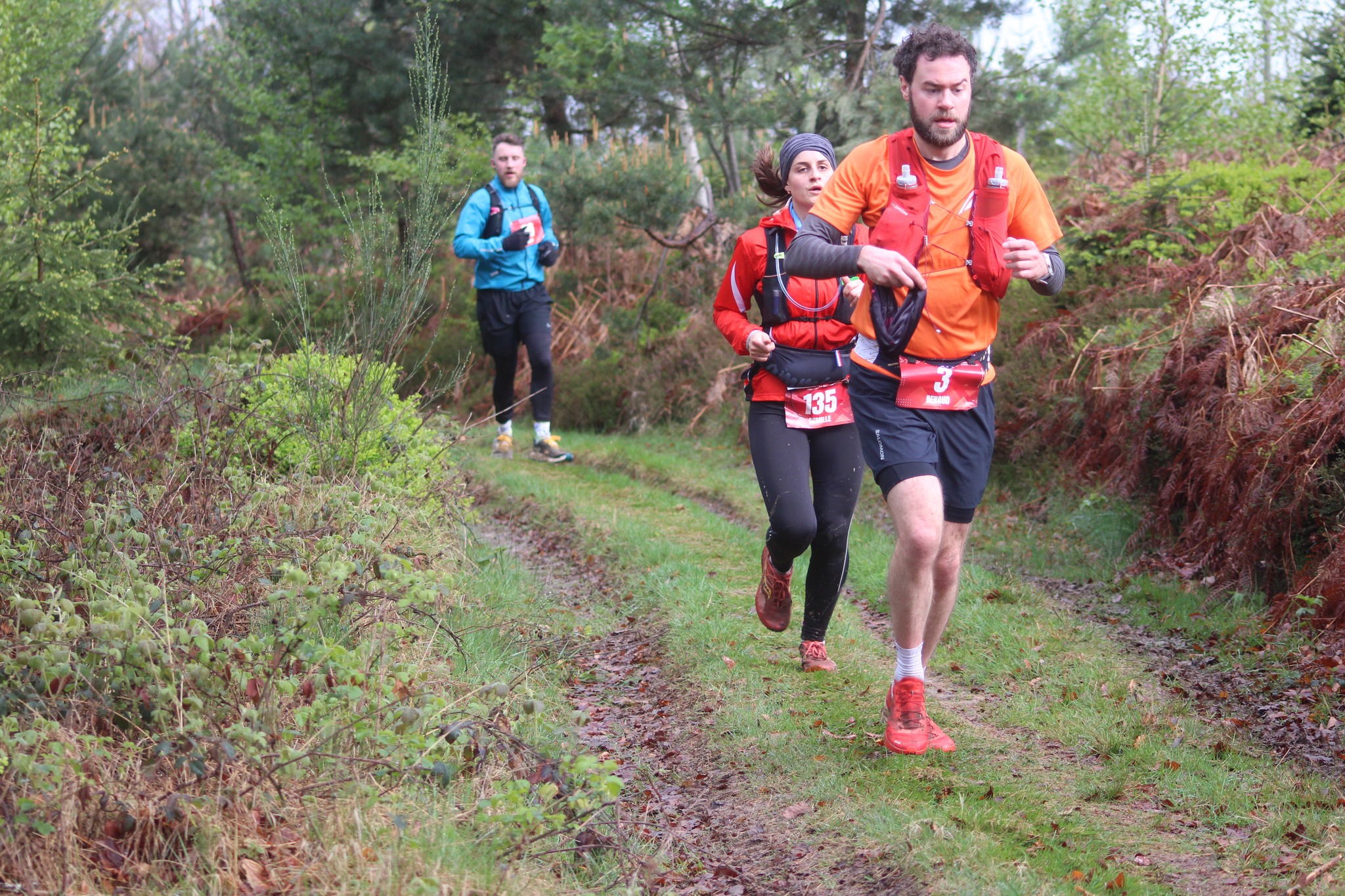 Image du trail