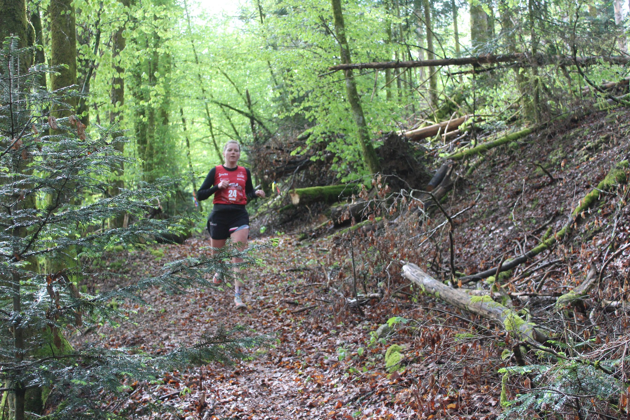 Image du trail