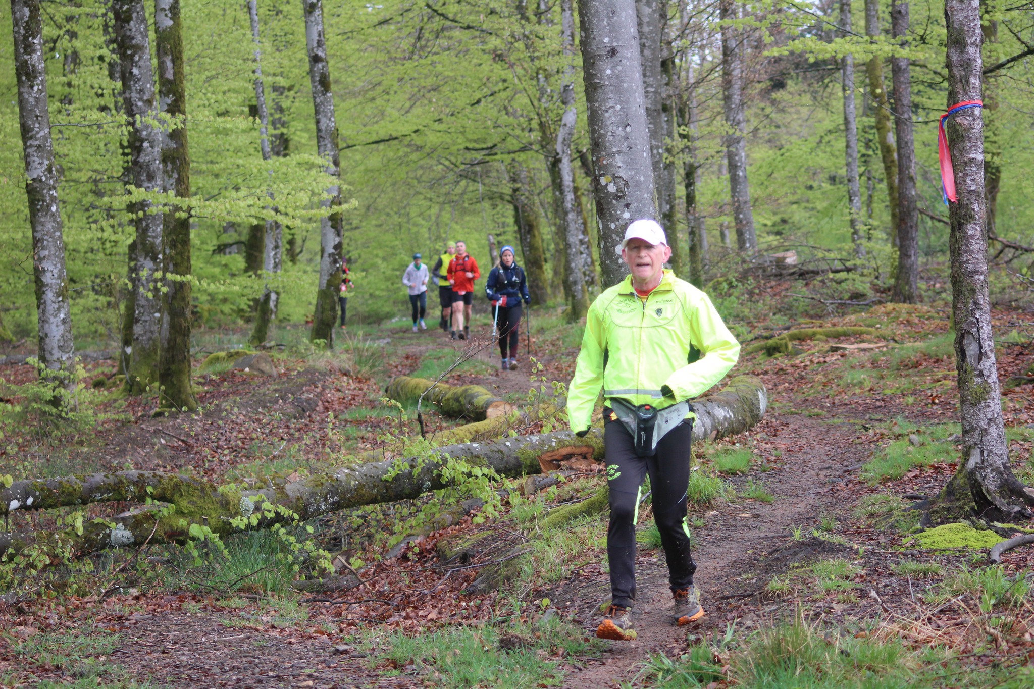 Image du trail