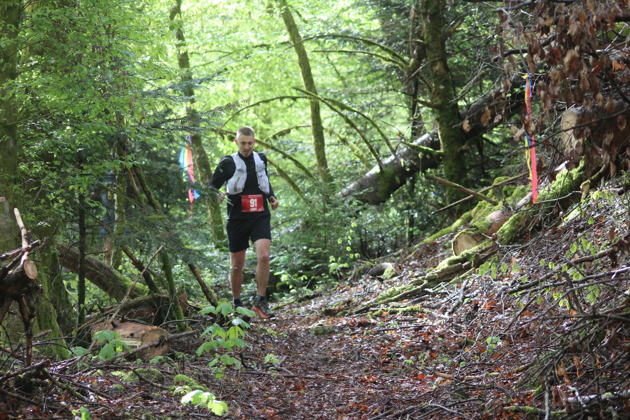 Image du trail