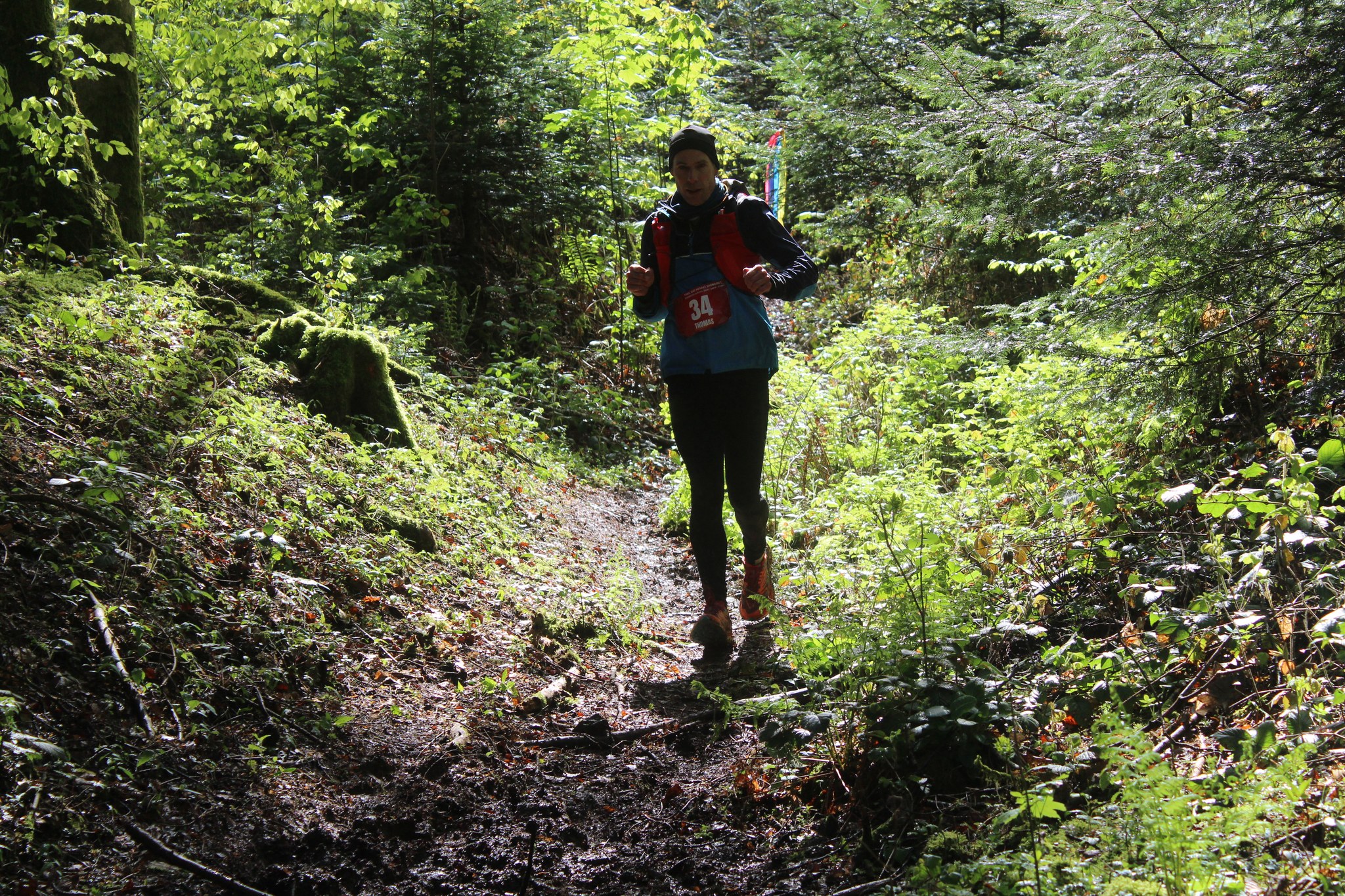 Image du trail