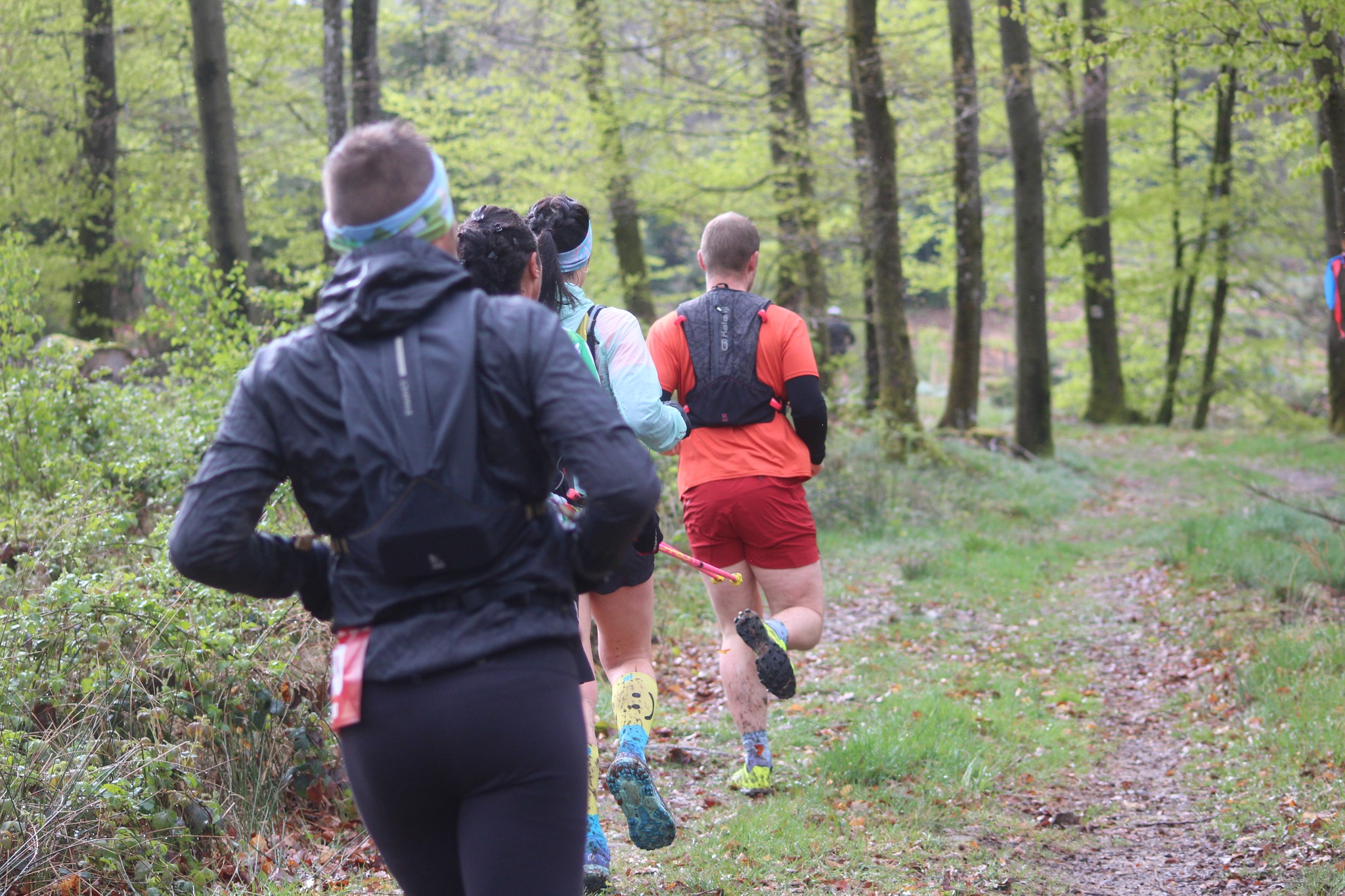 Image du trail