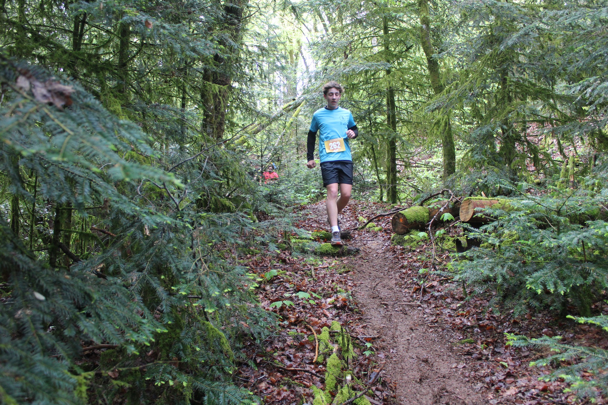 Image du trail