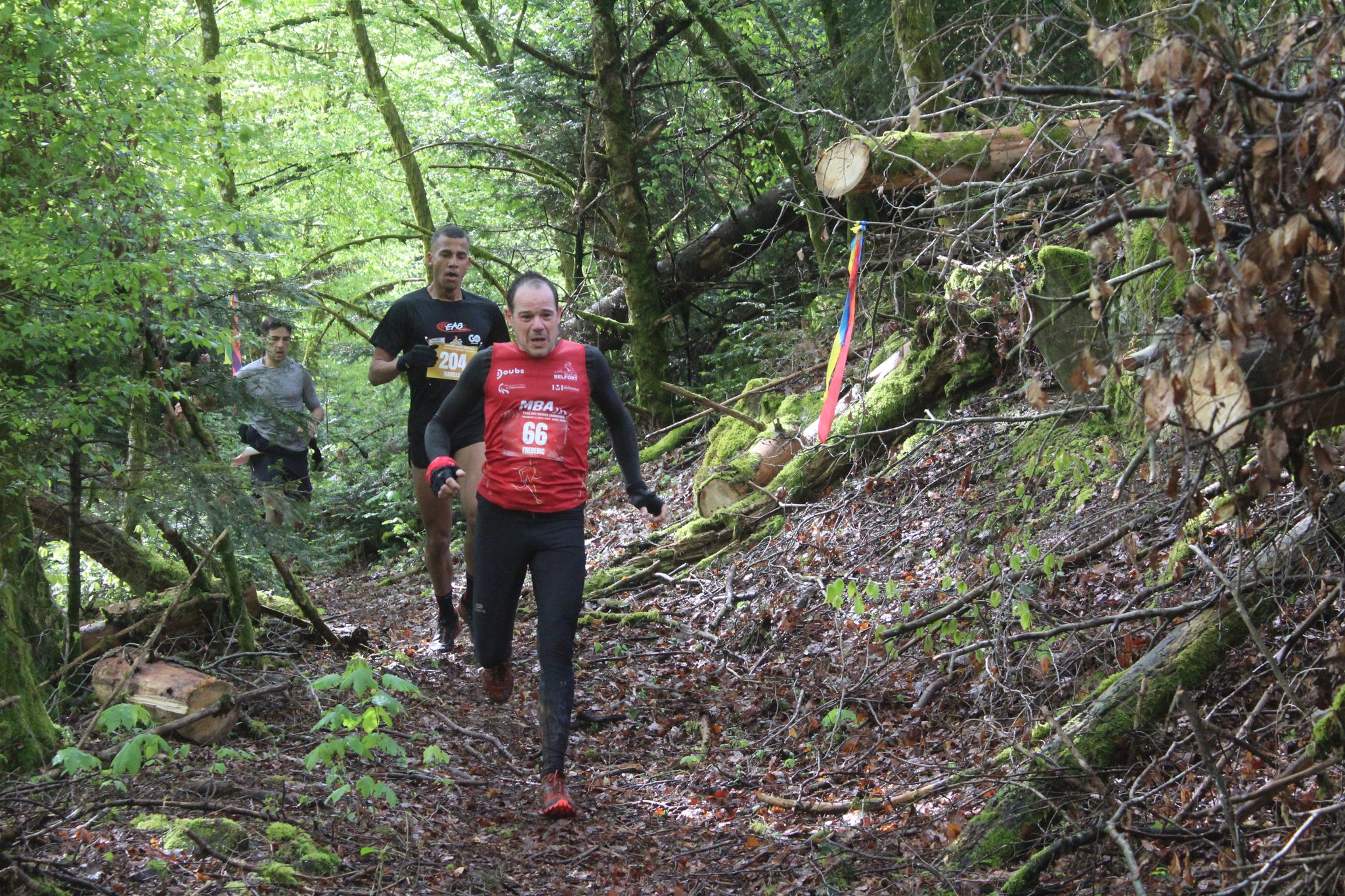 Image du trail