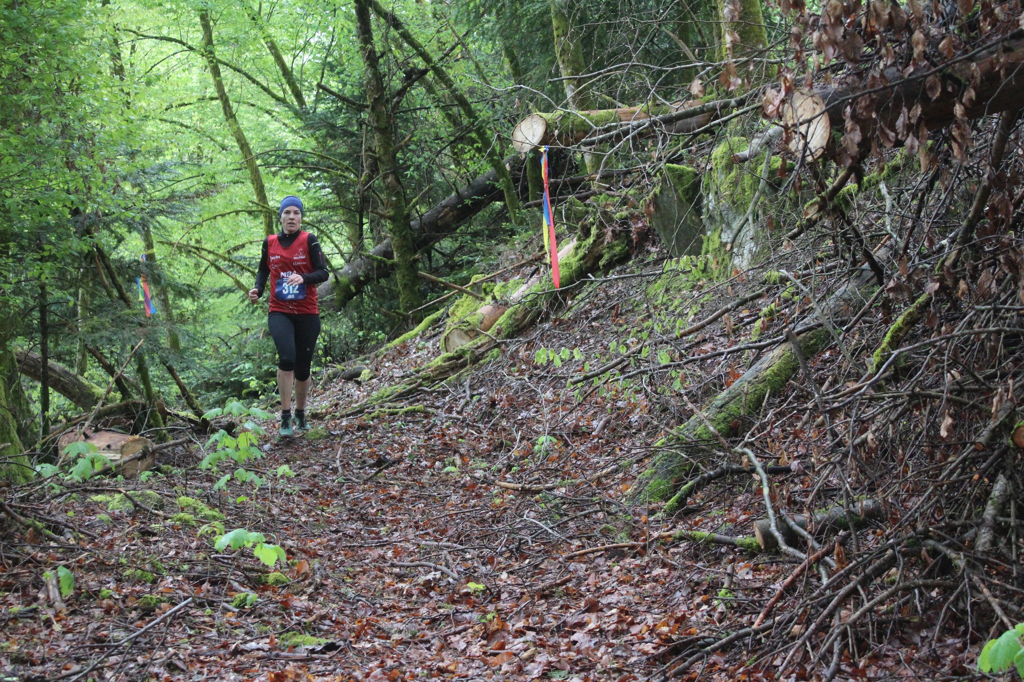 Image du trail