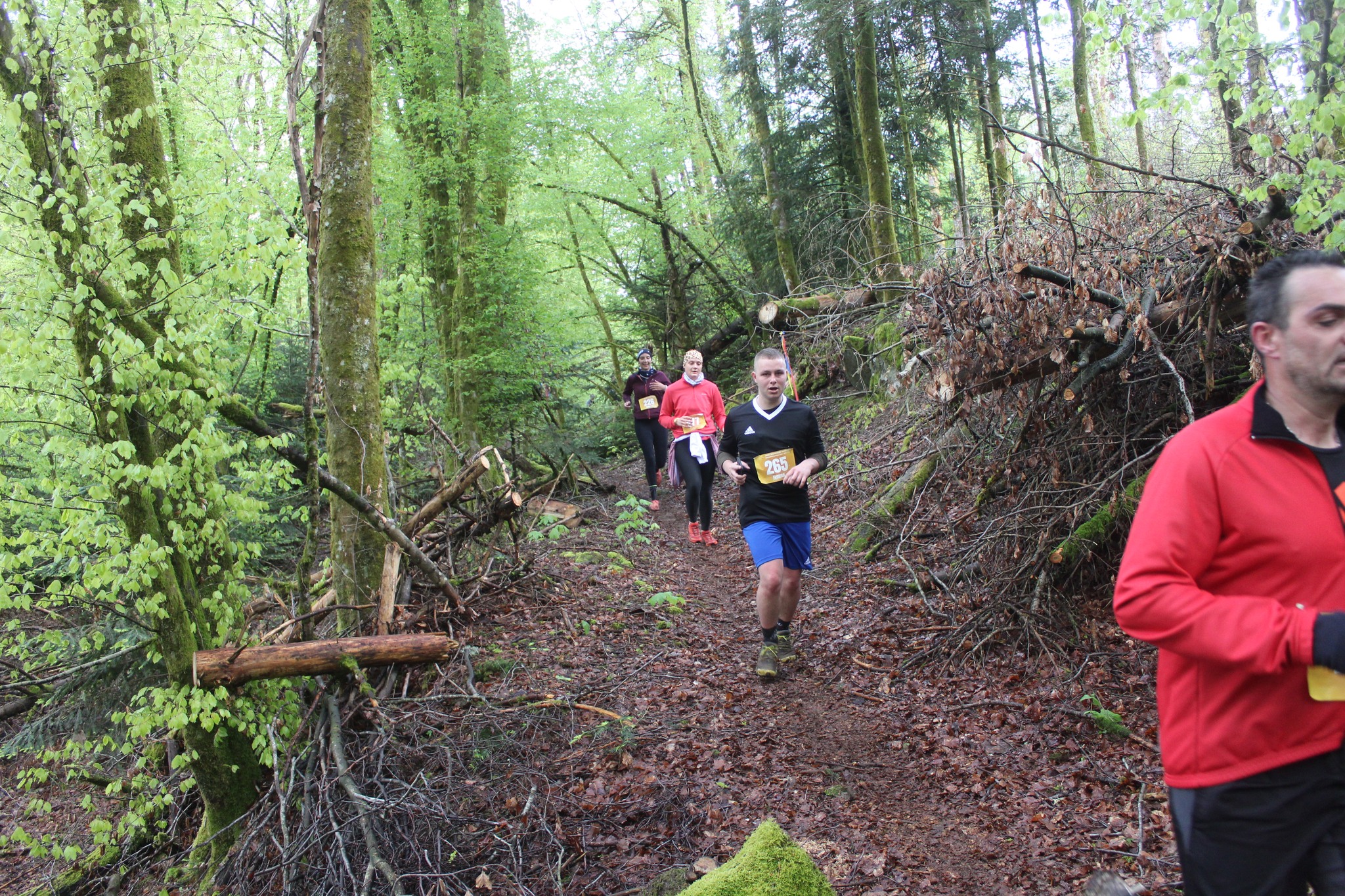 Image du trail