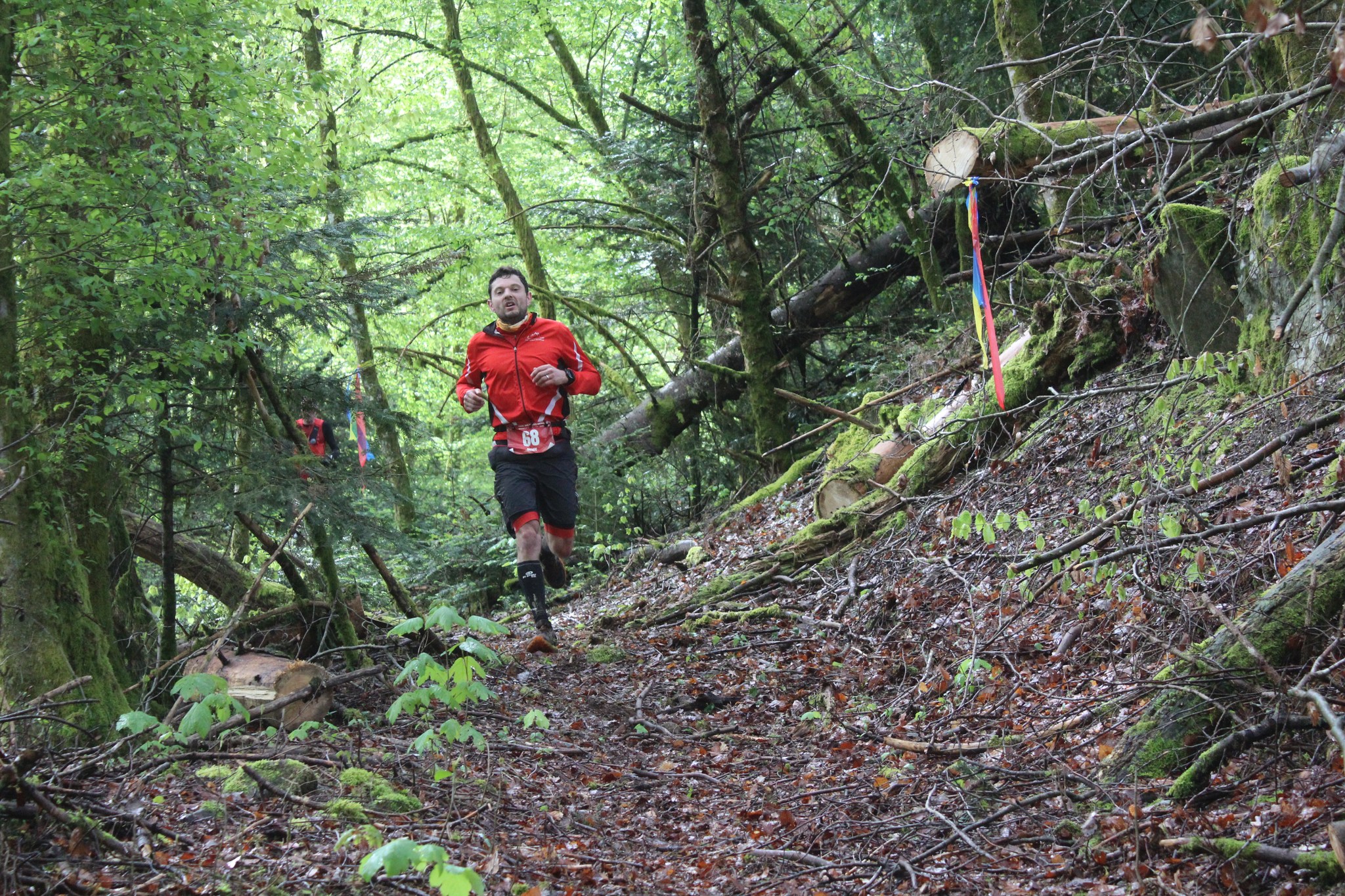 Image du trail