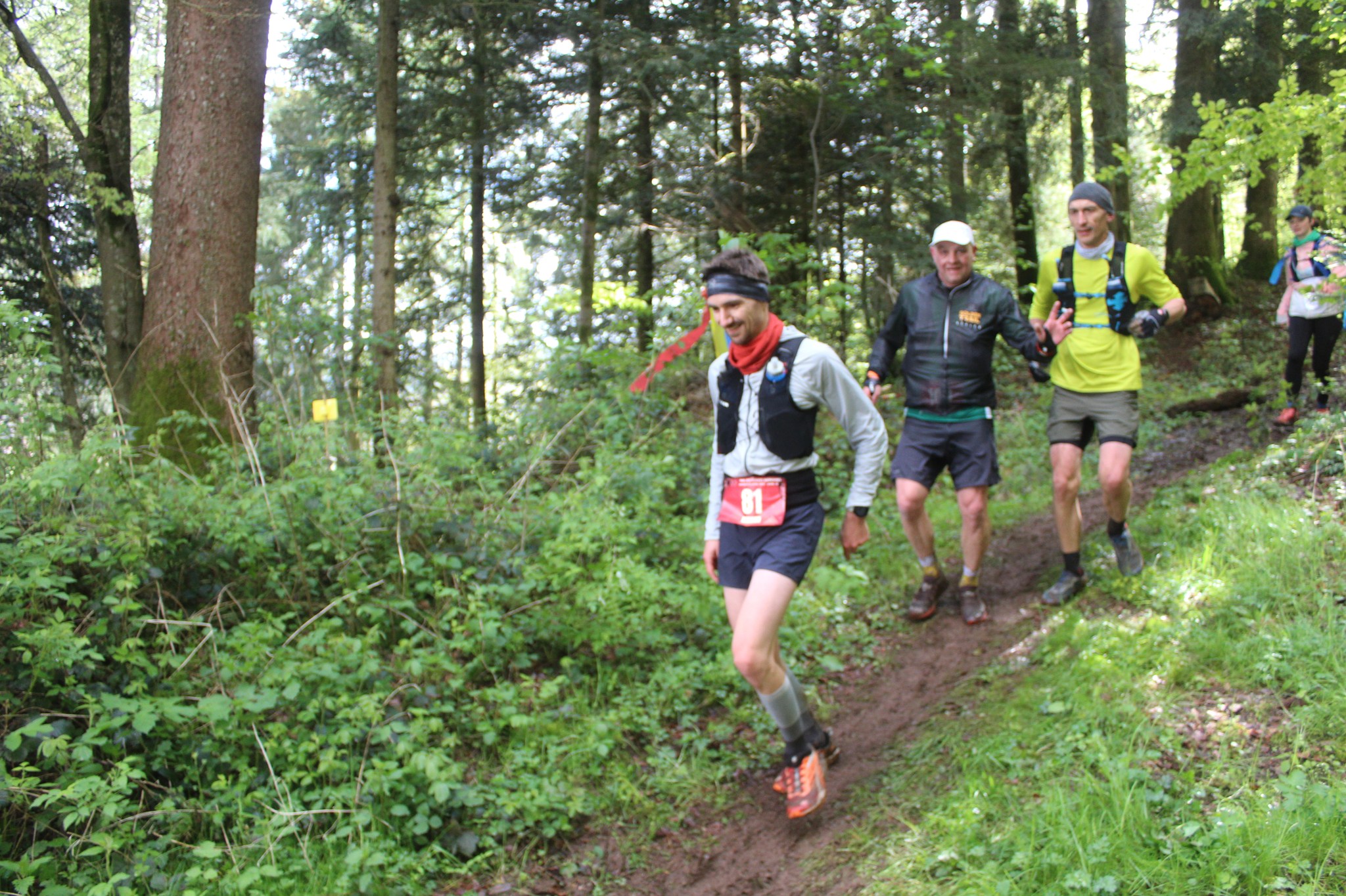 Image du trail