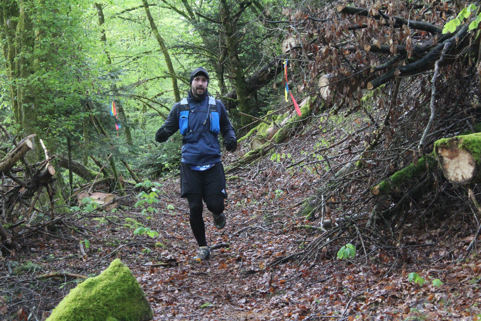 Image du trail