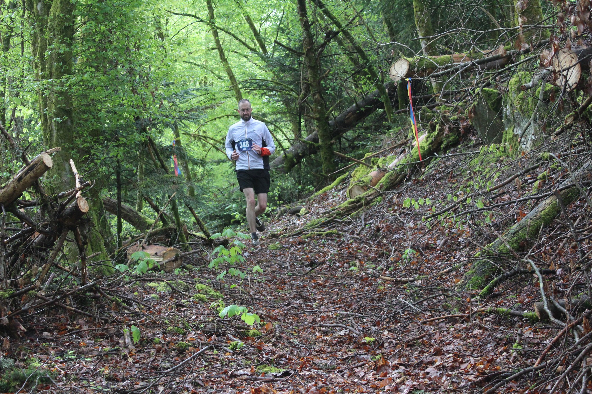 Image du trail