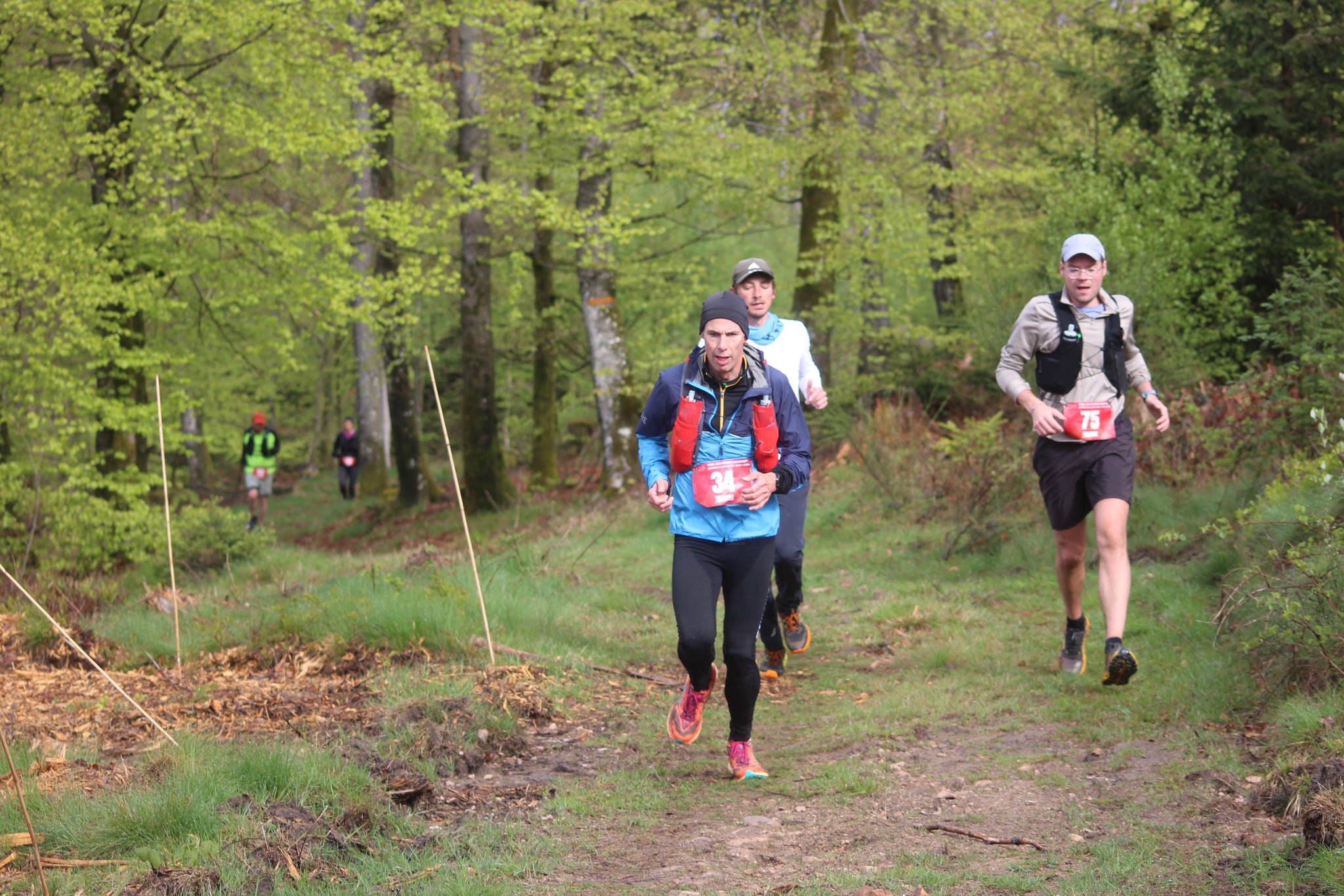 Image du trail