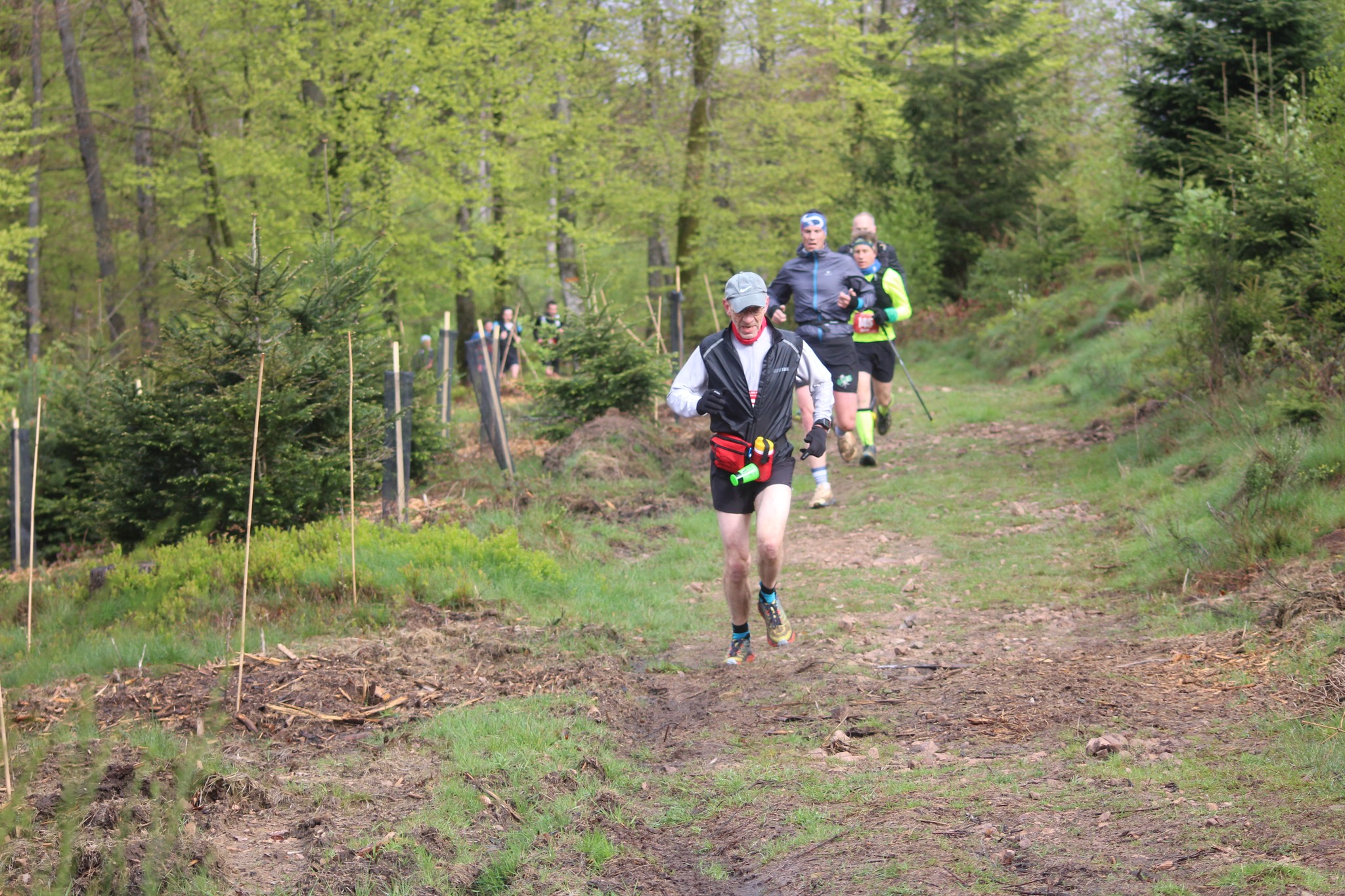 Image du trail