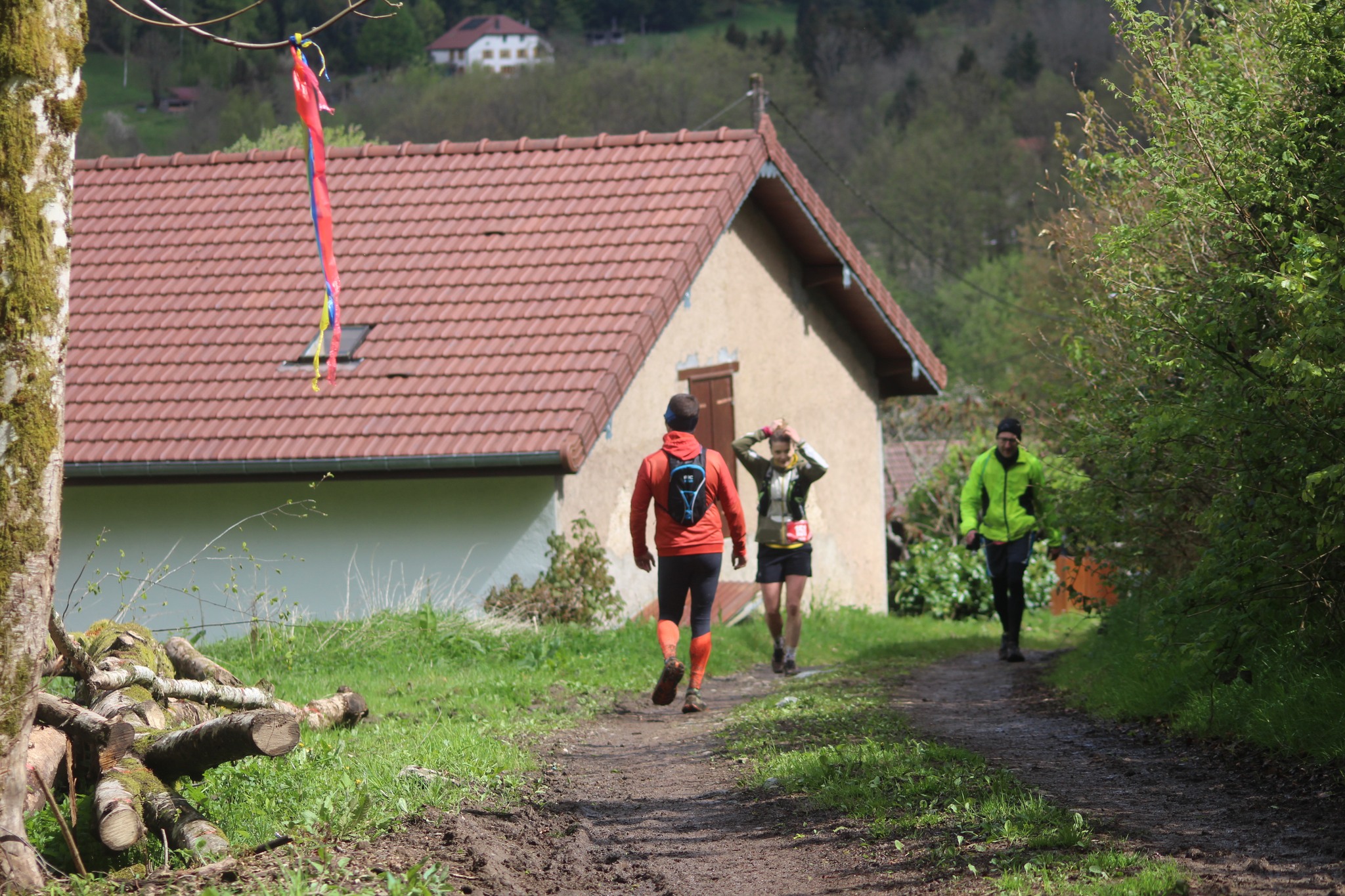 Image du trail