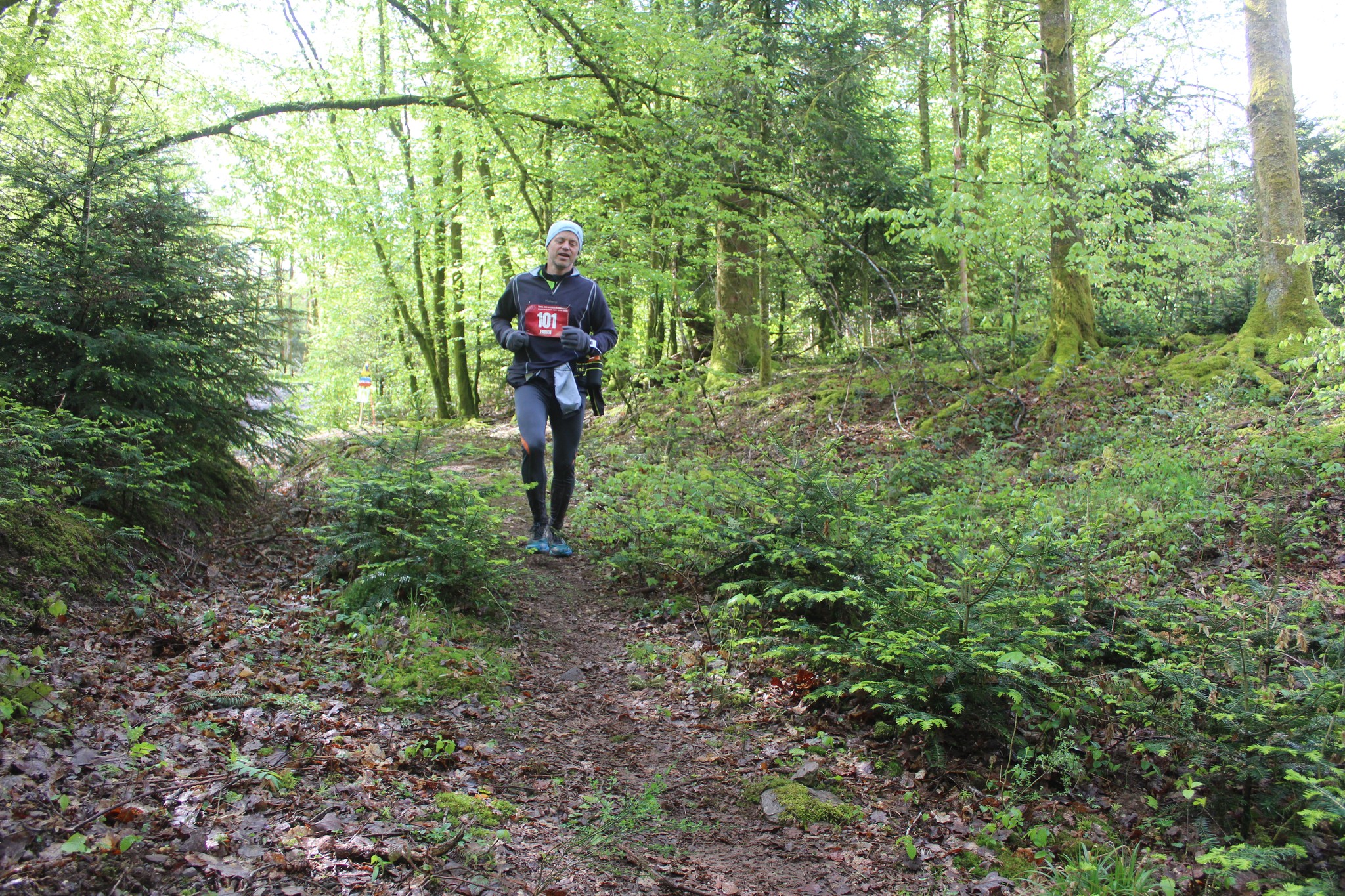 Image du trail