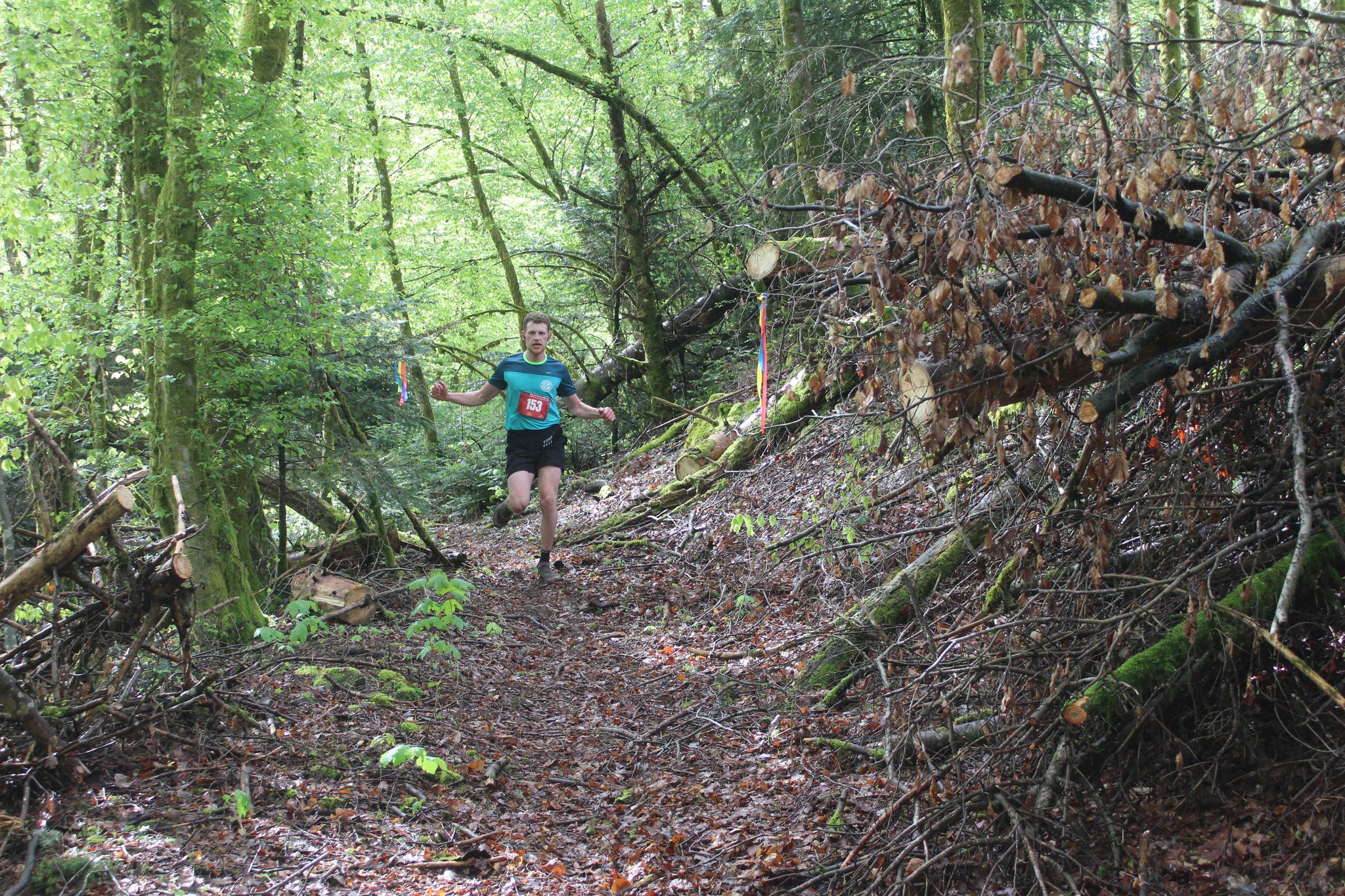 Image du trail