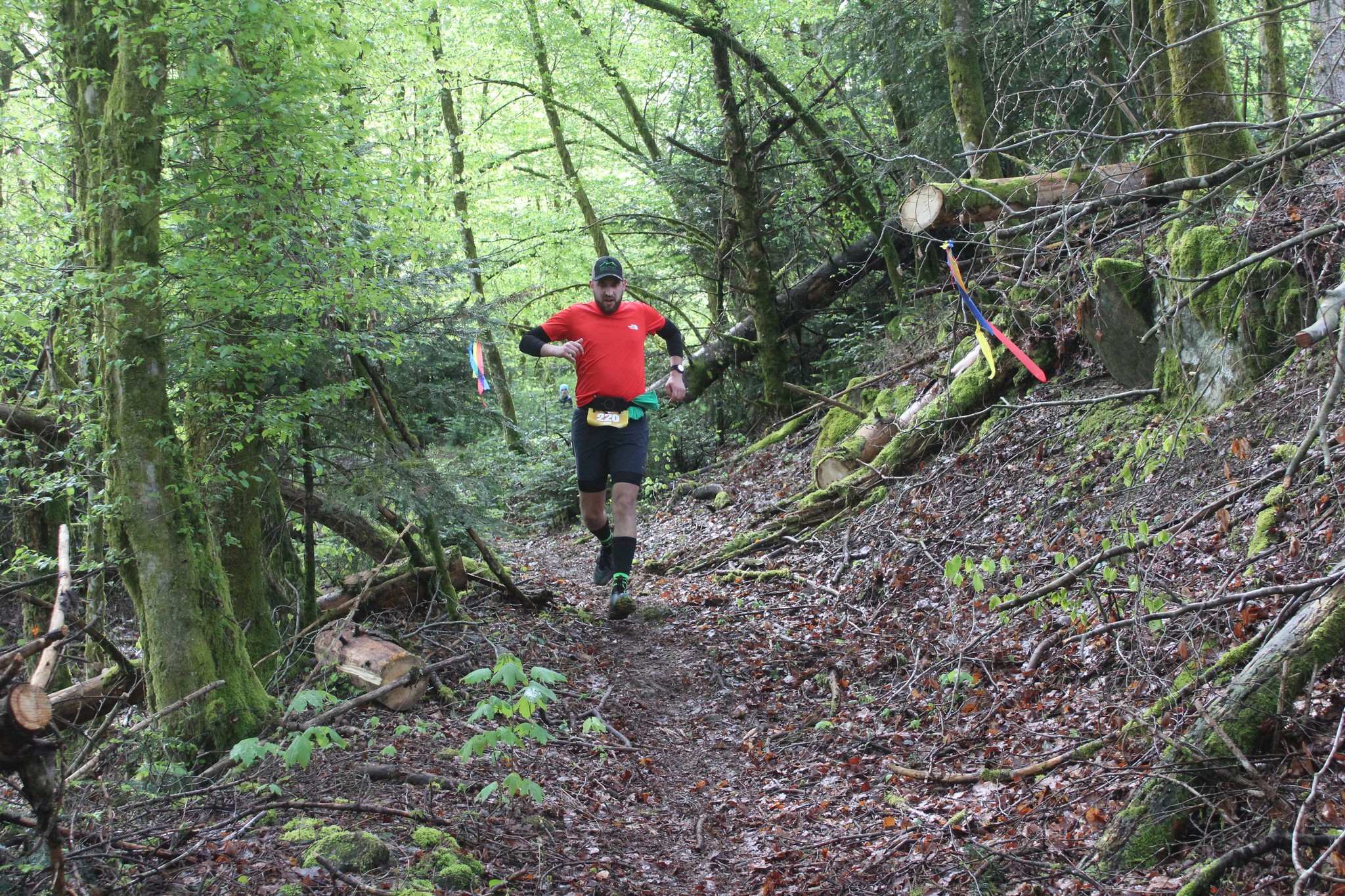 Image du trail