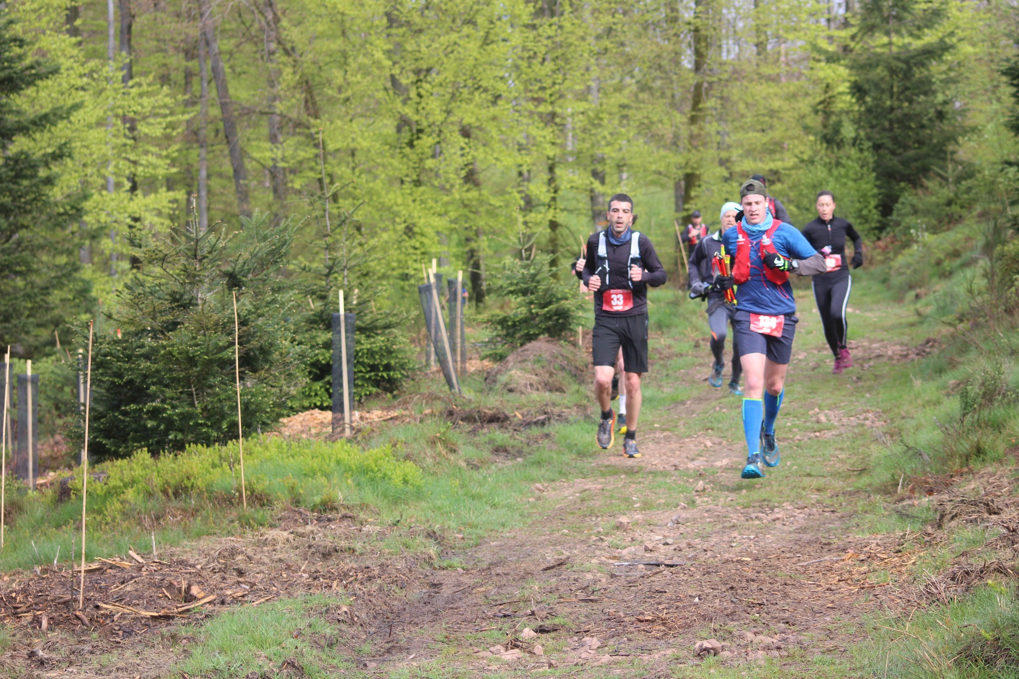 Image du trail