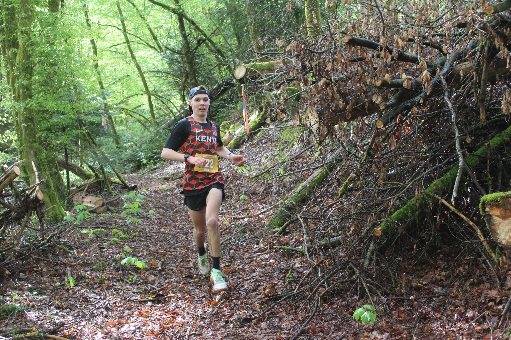 Image du trail