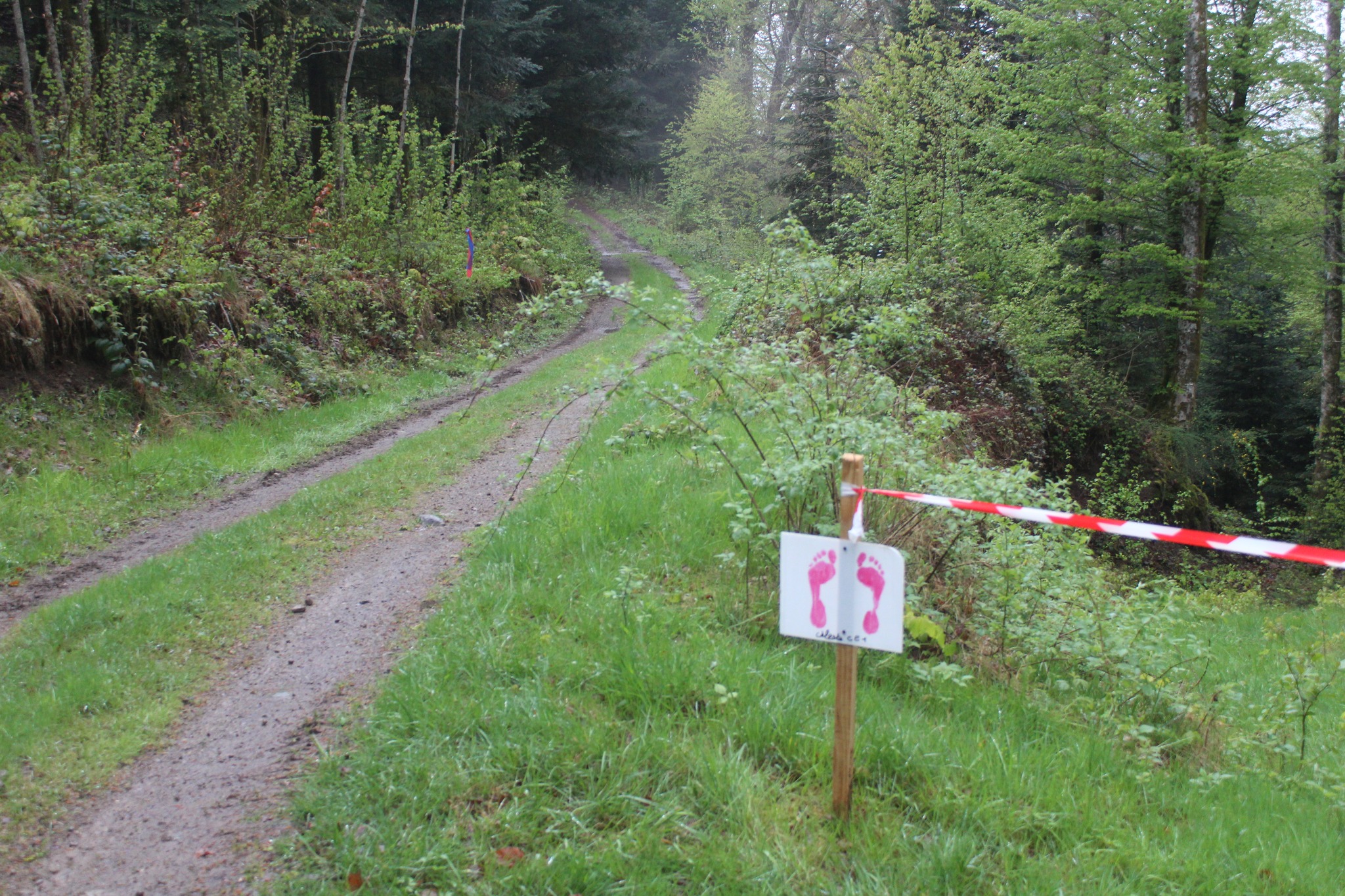 Image du trail